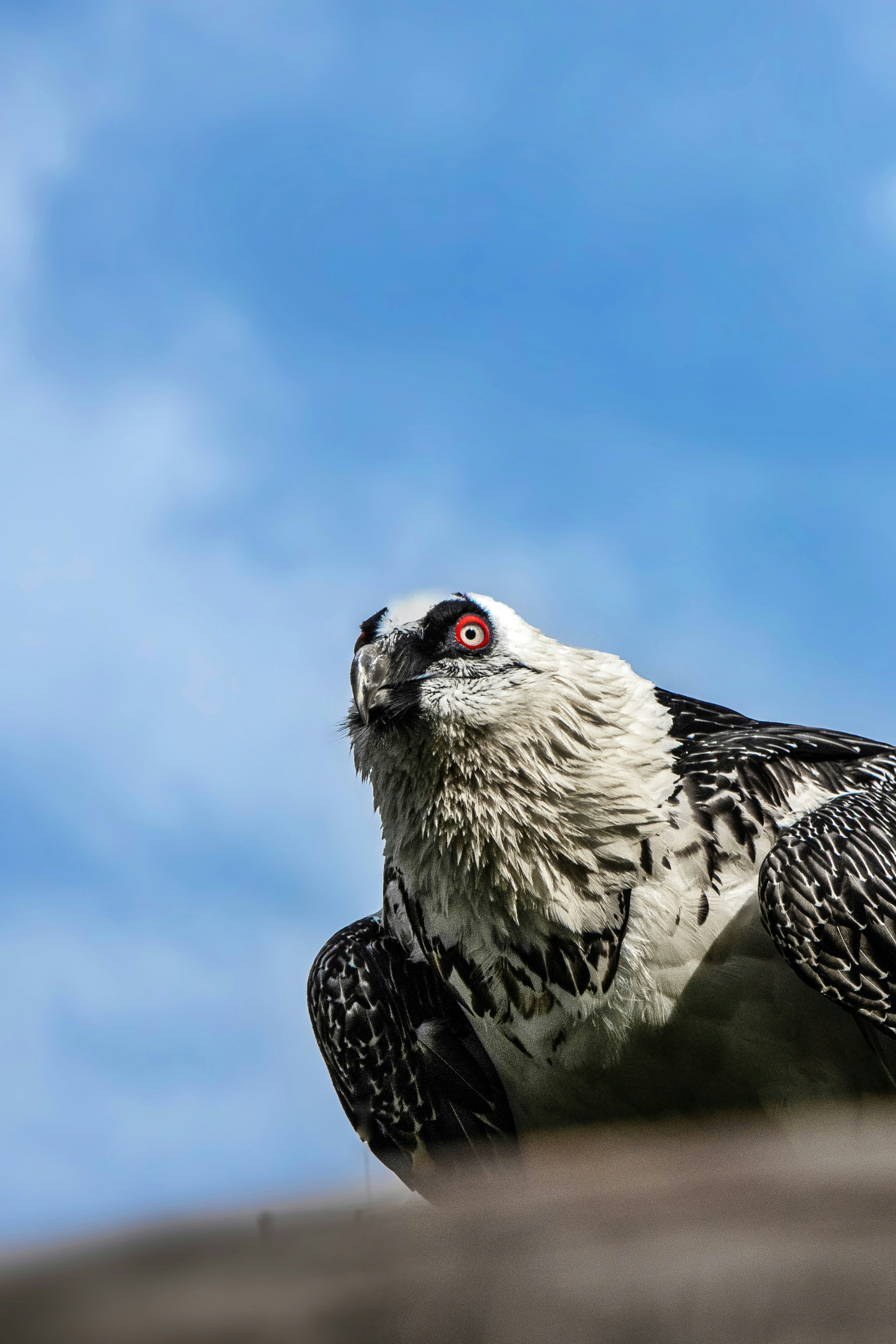 Photo by sameer_srivastava