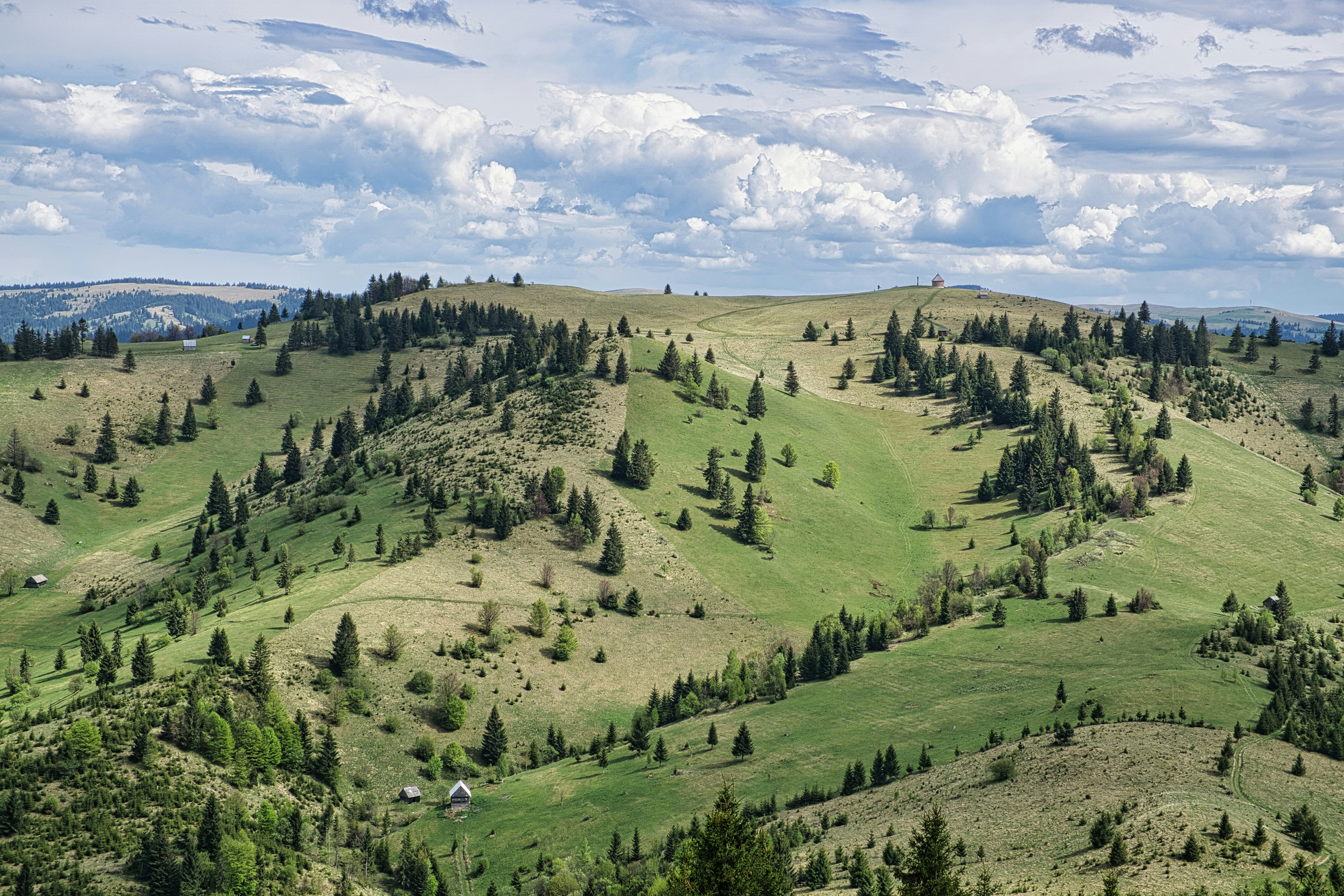 A view of a green mountain with lots of trees
