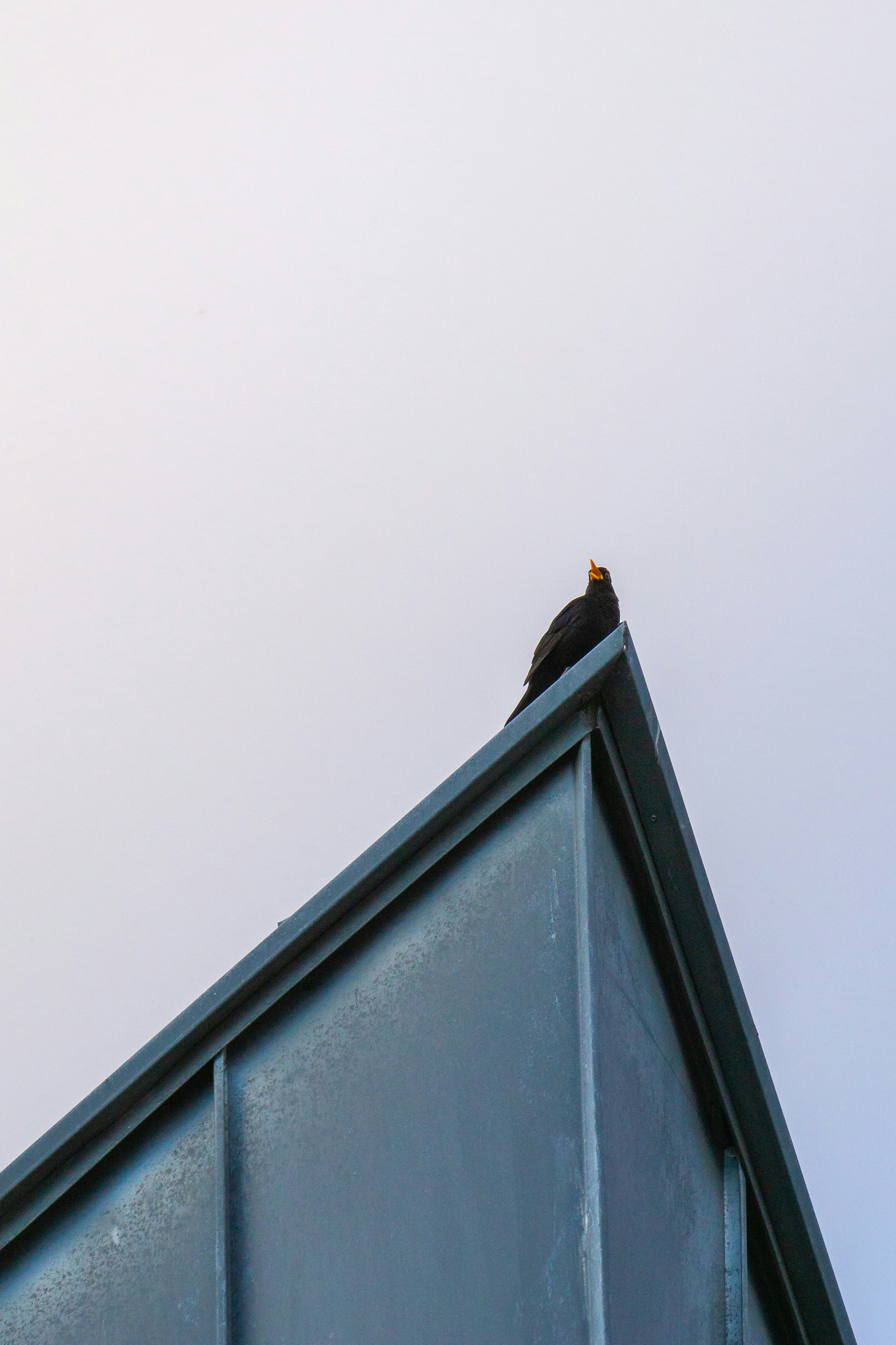 Photo by robertschwarz