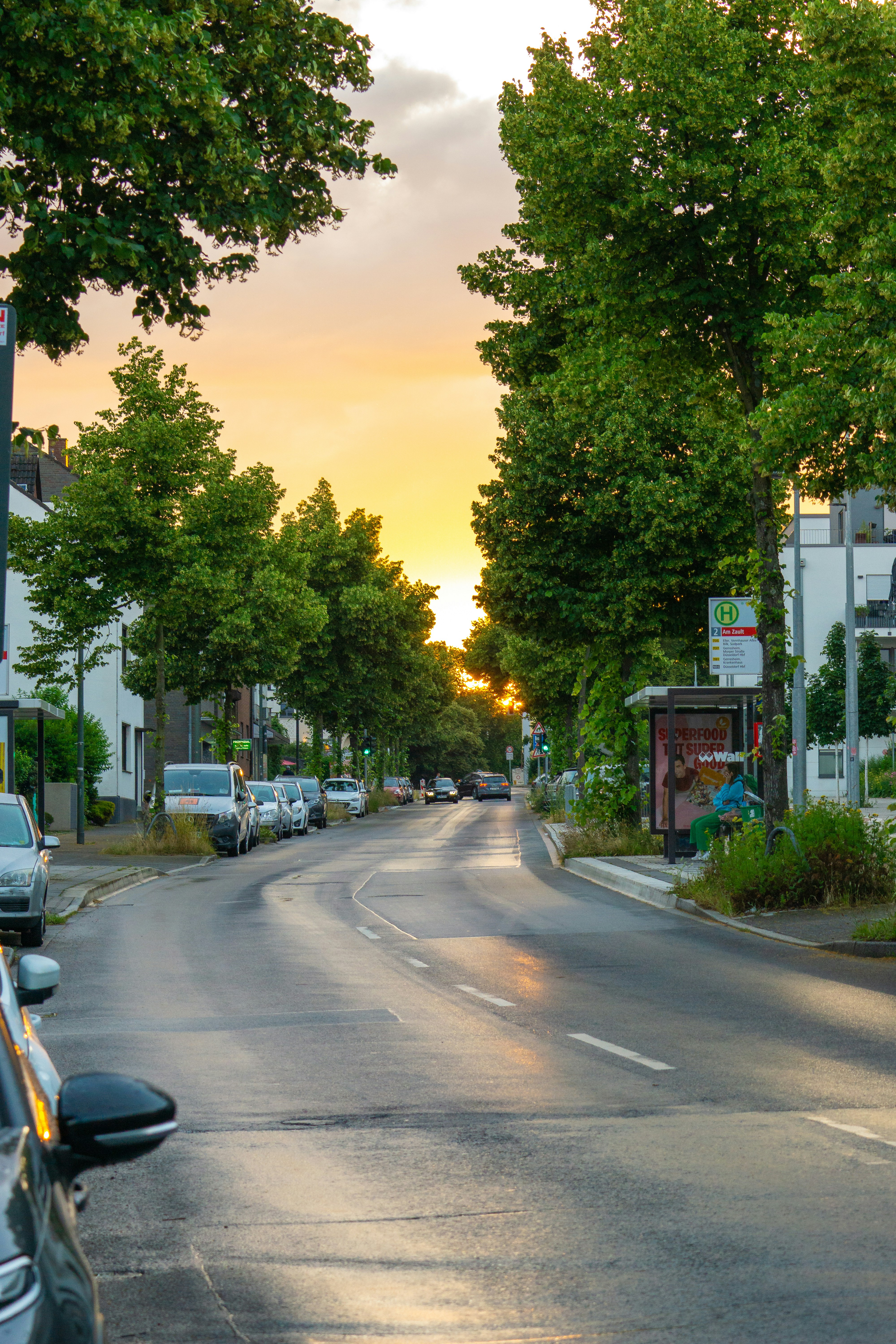 Photo by robertschwarz