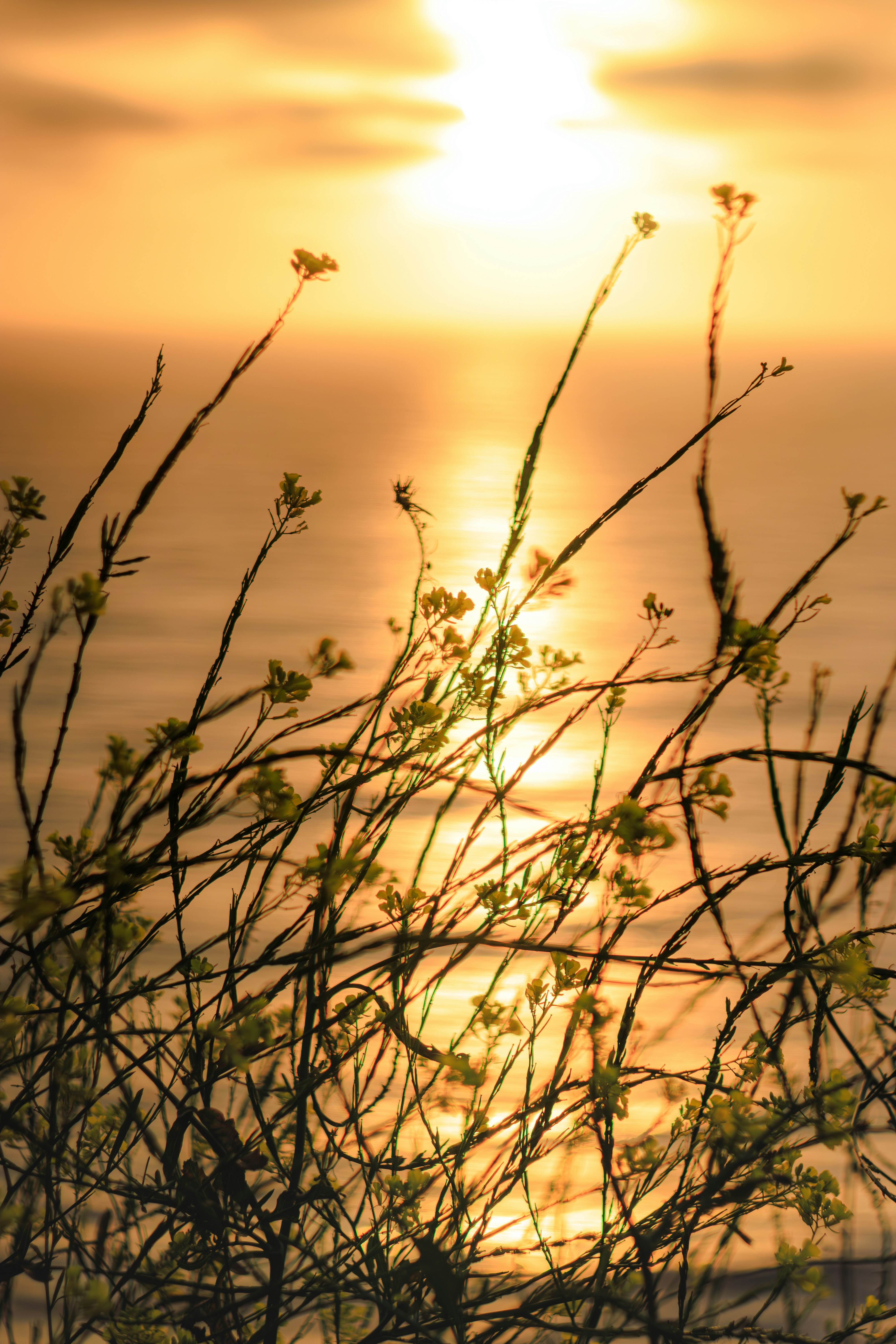 Photo by brice_cooper18