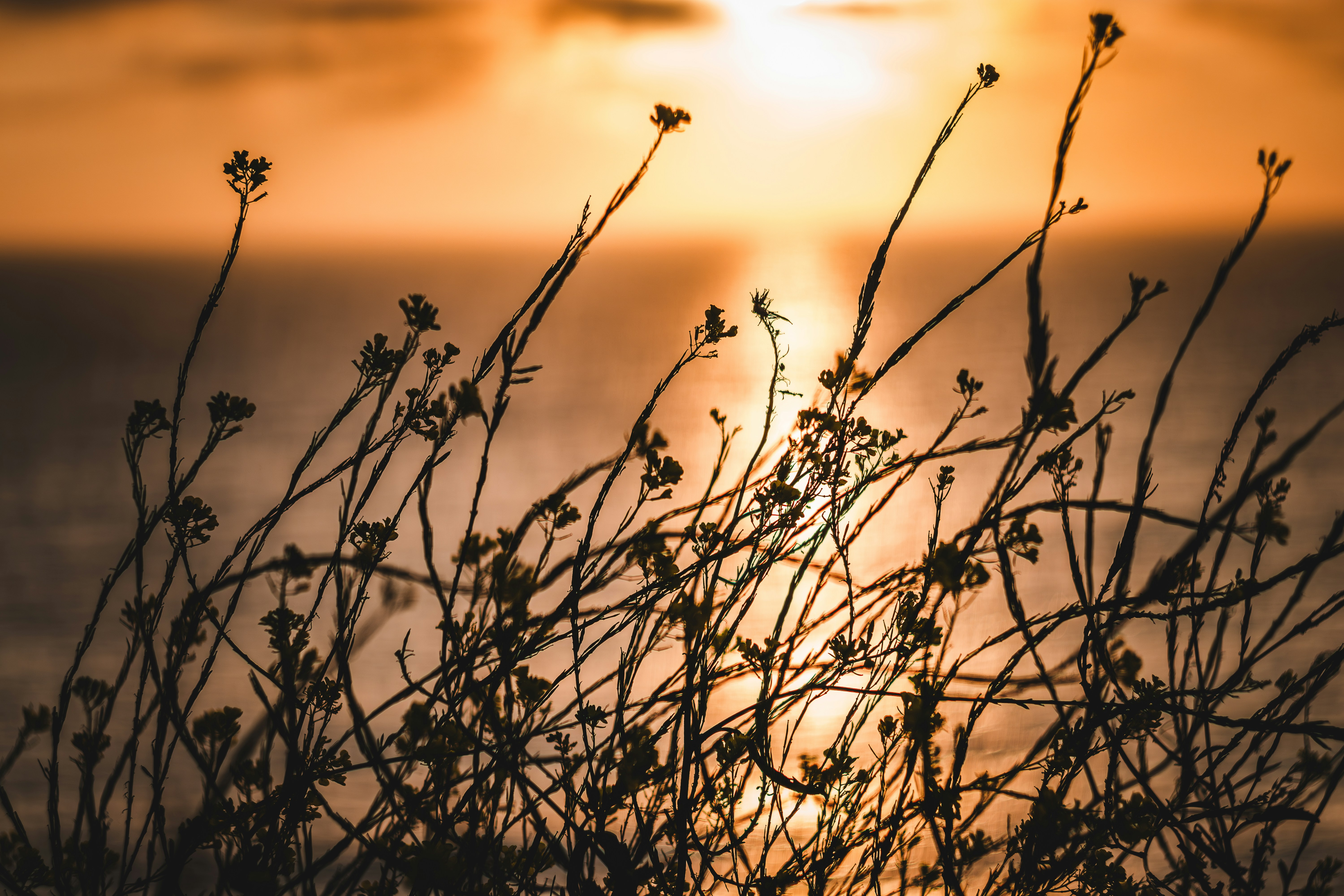 Photo by brice_cooper18