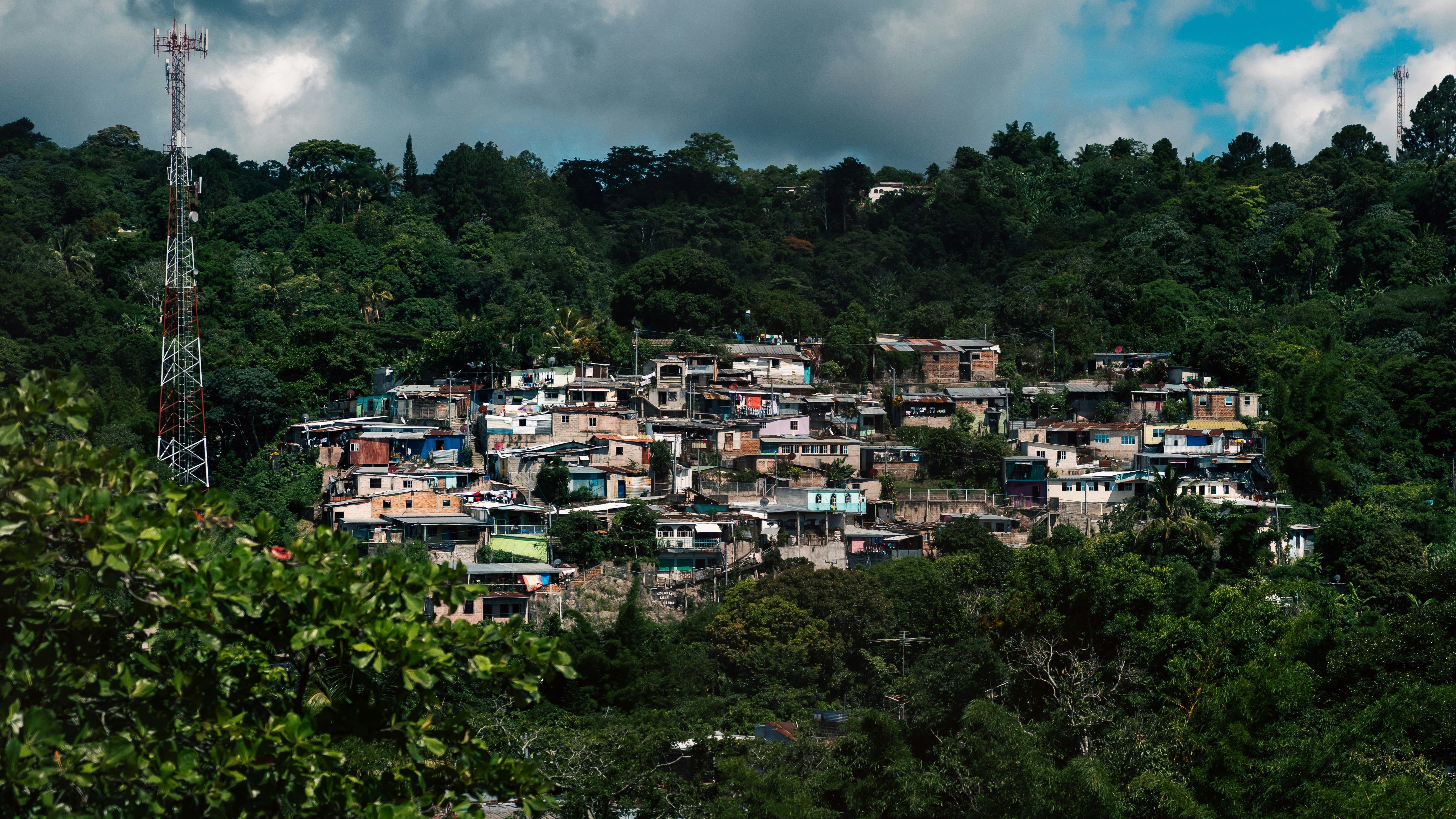 Photo by ydcphotography