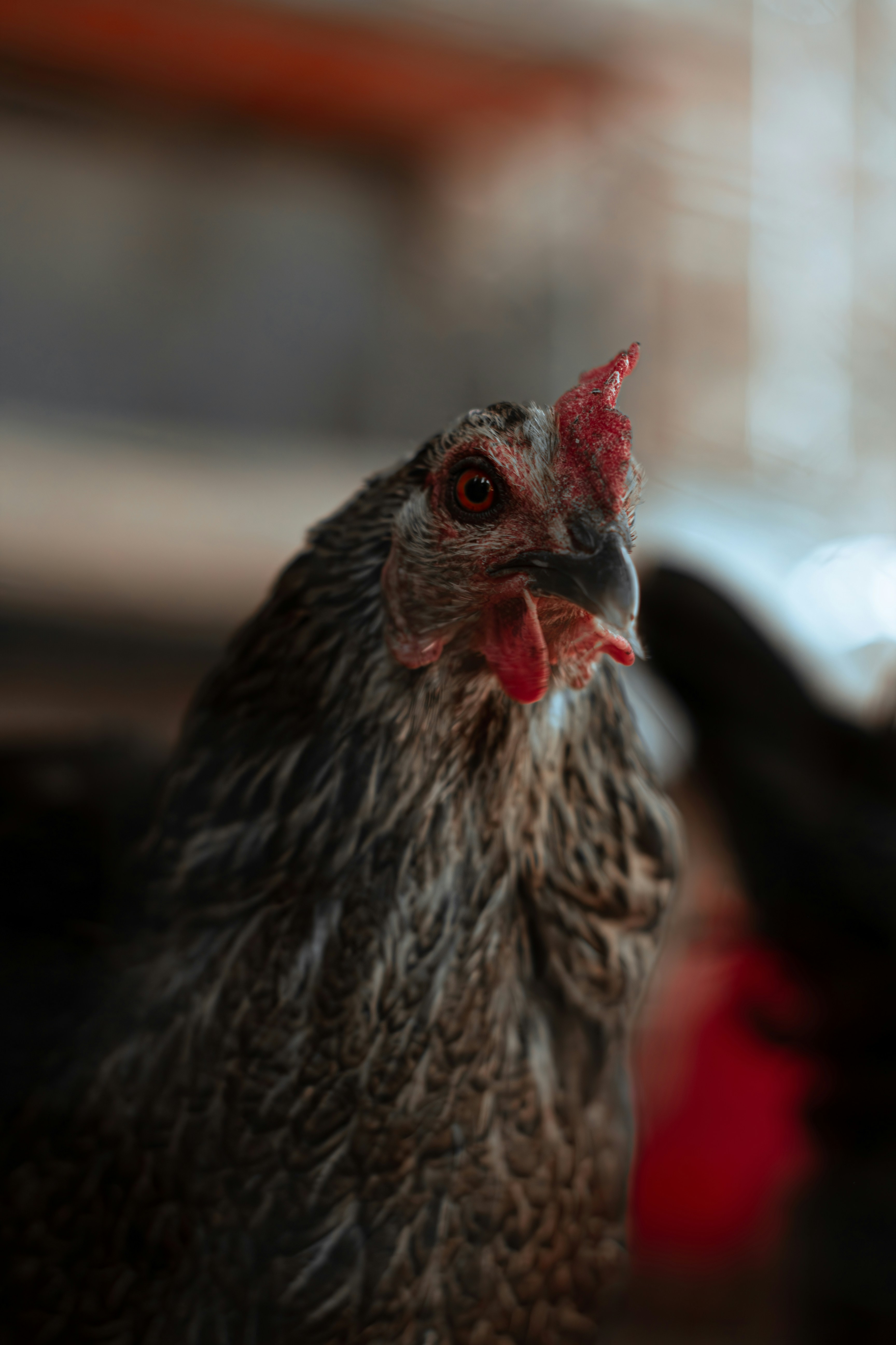 Photo by hossein_esm