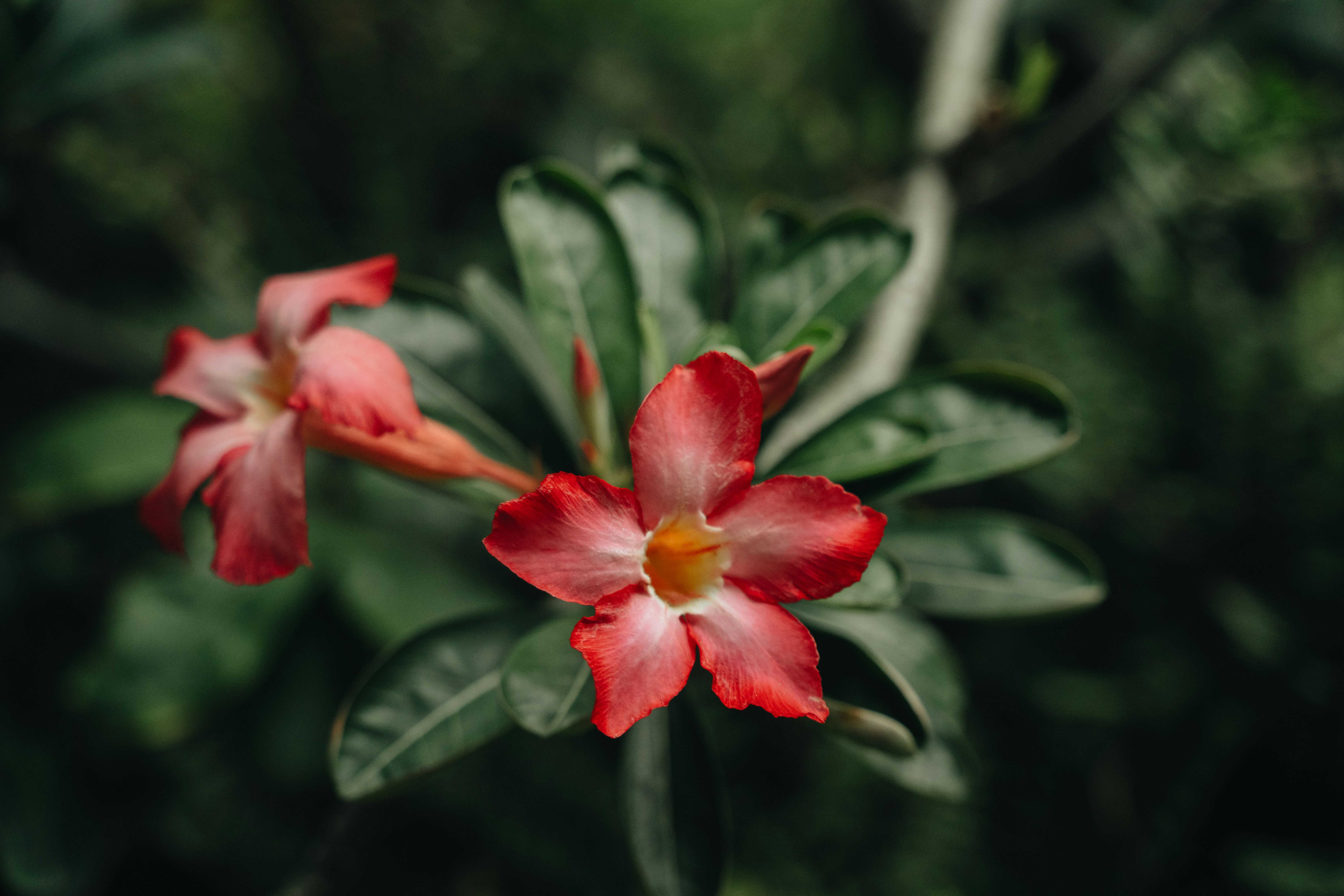 Photo by chuchu123456