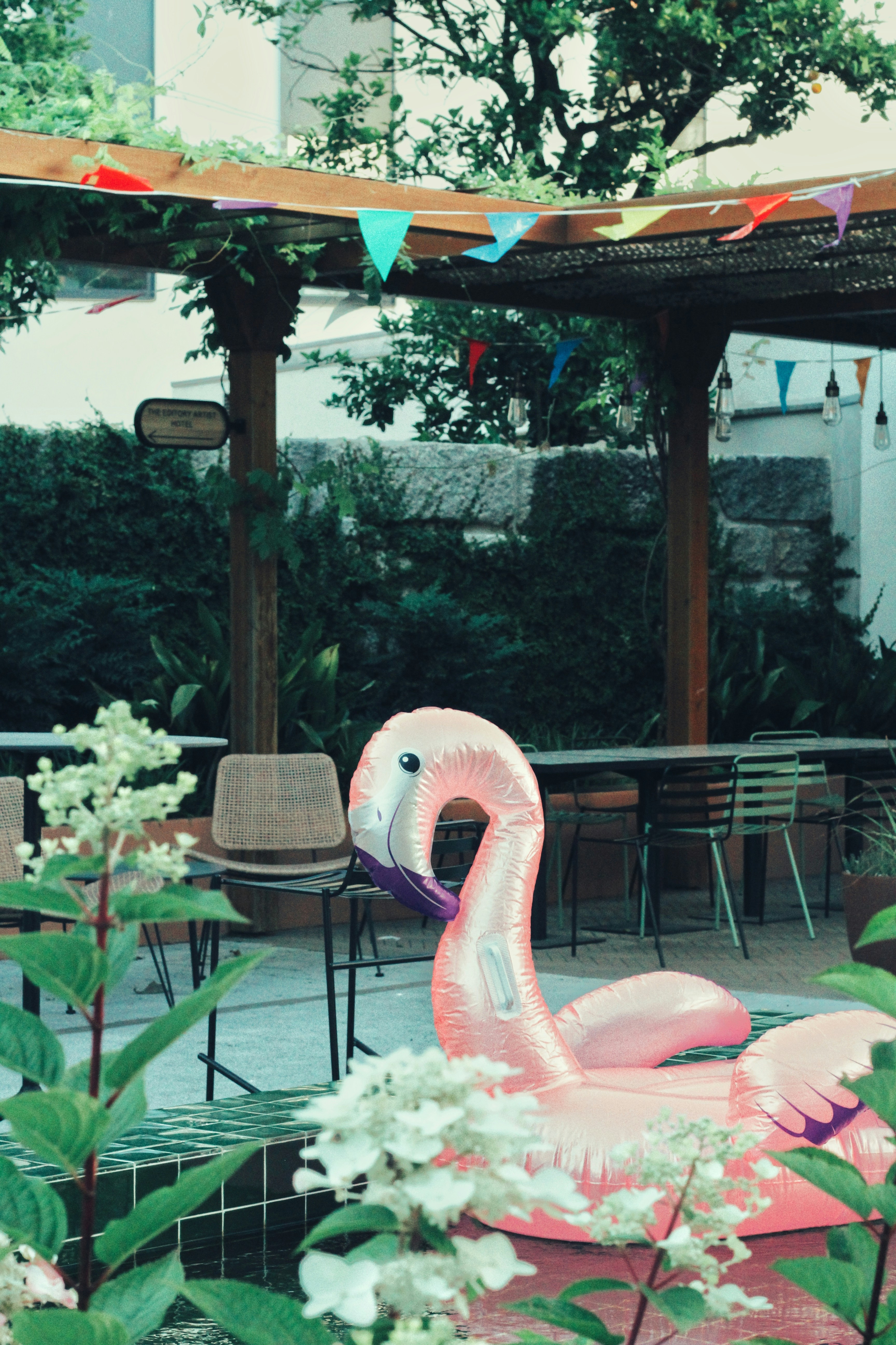 Photo by lemm0s