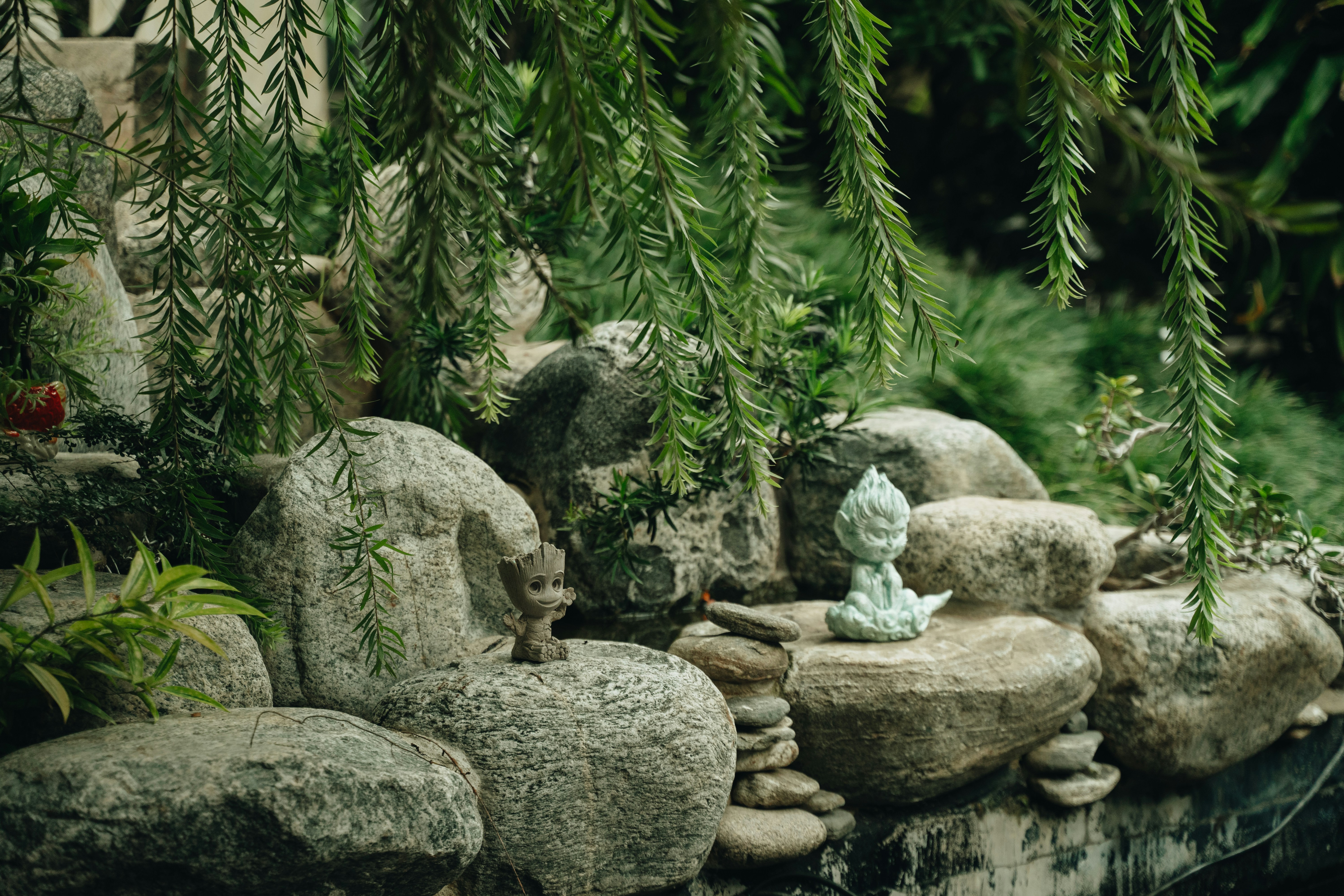 Photo by chuchu123456