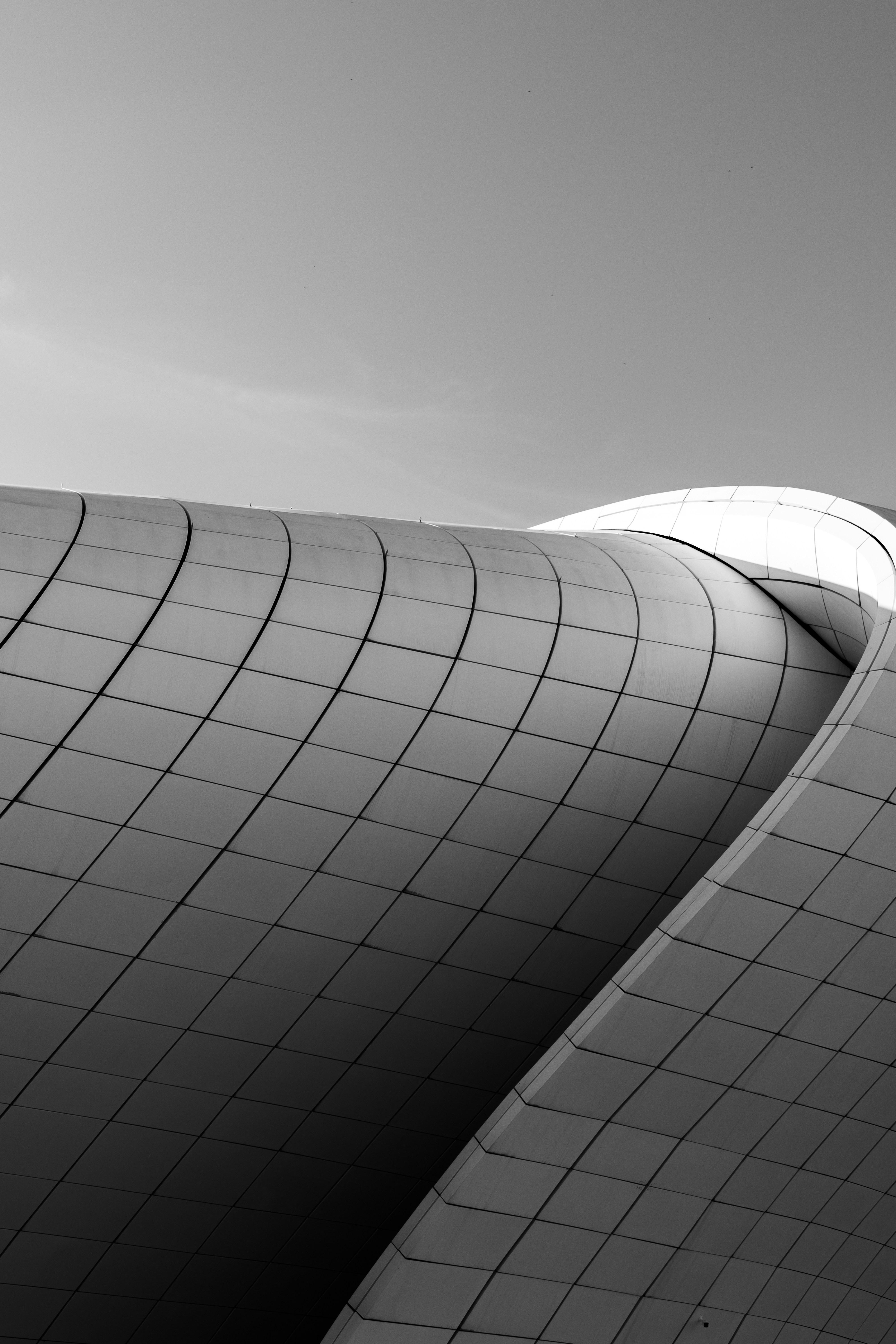 Photo by stephanie10