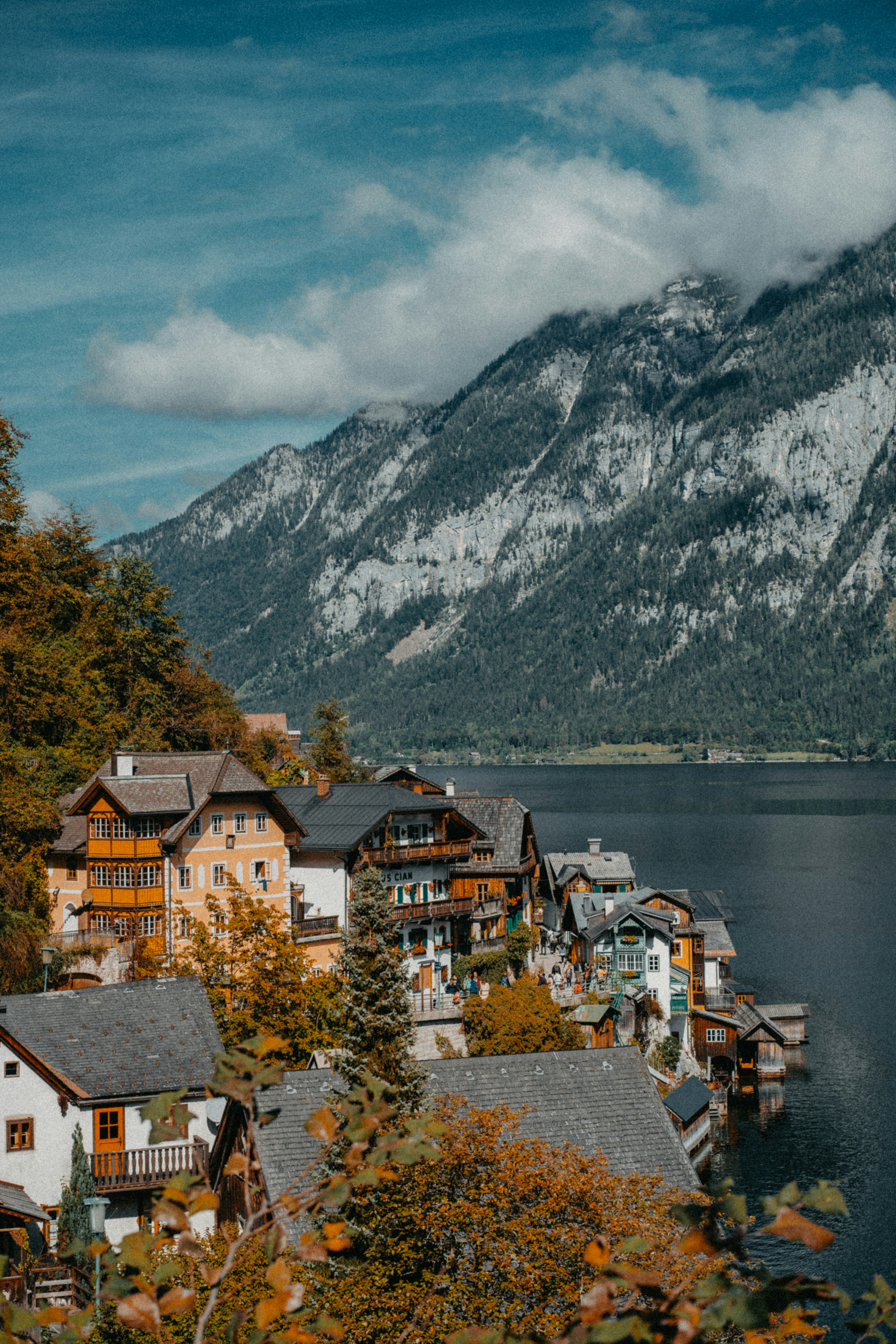 Photo by raymondpetrik