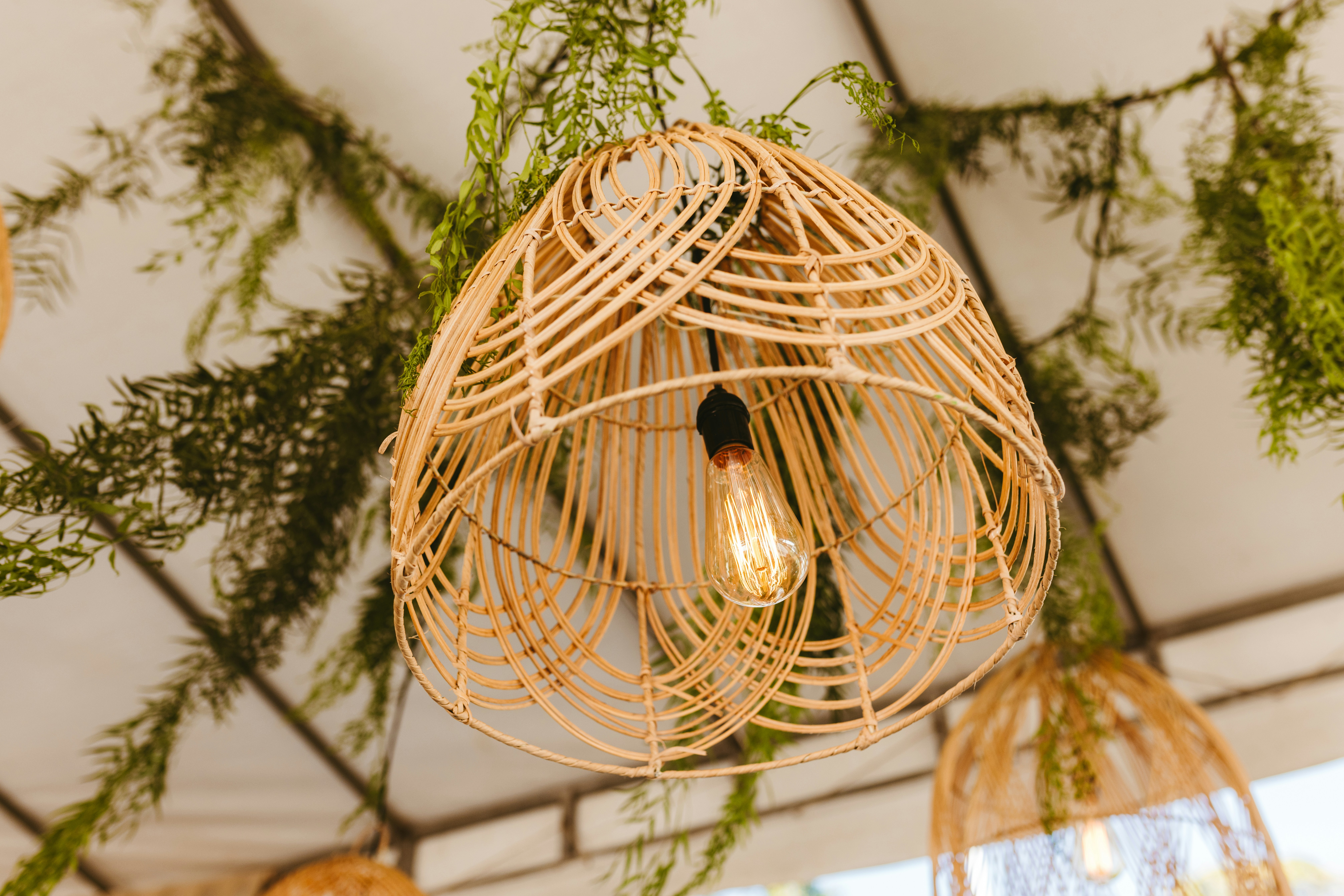 Photo by jonathanborba