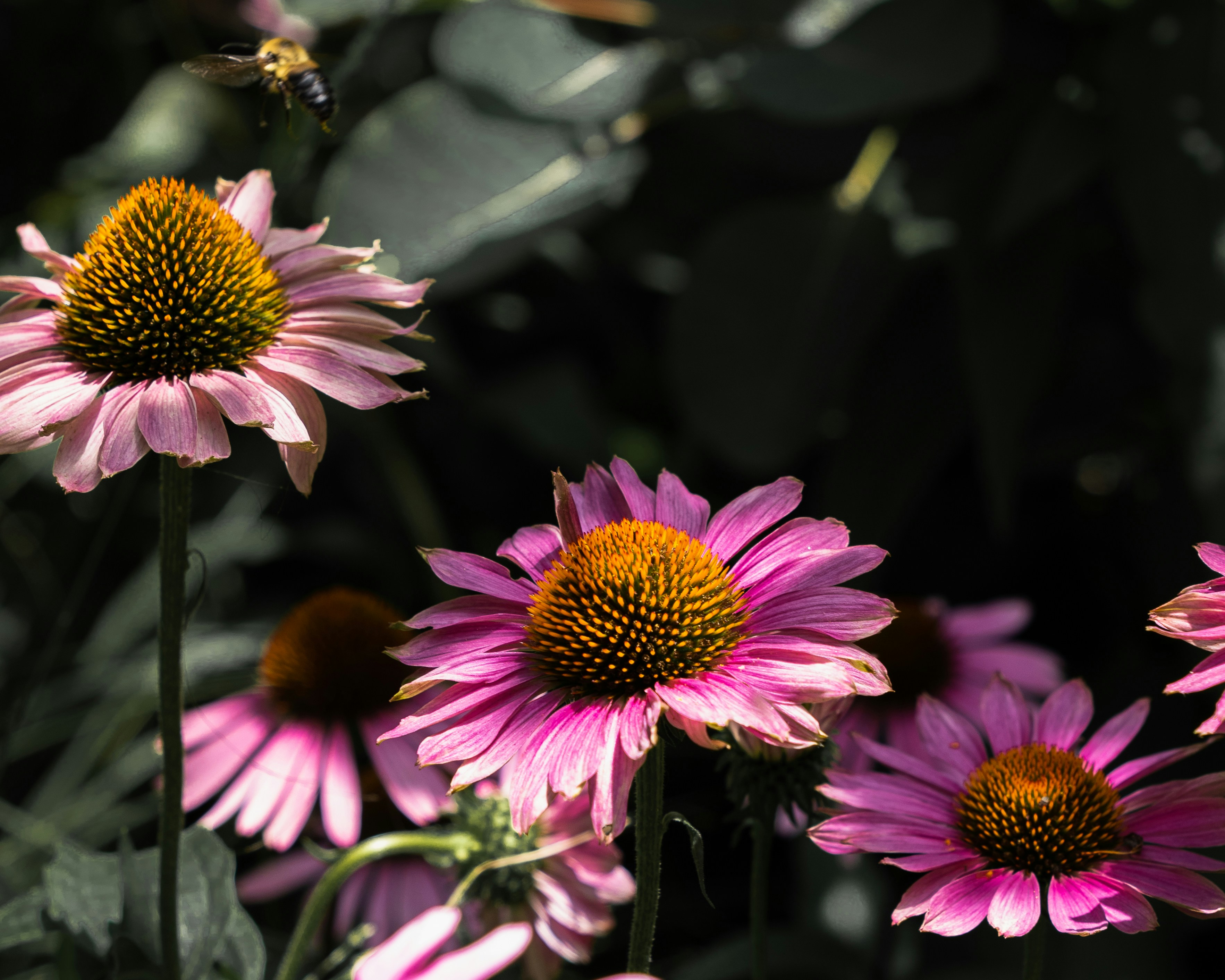 Photo by ydcphotography