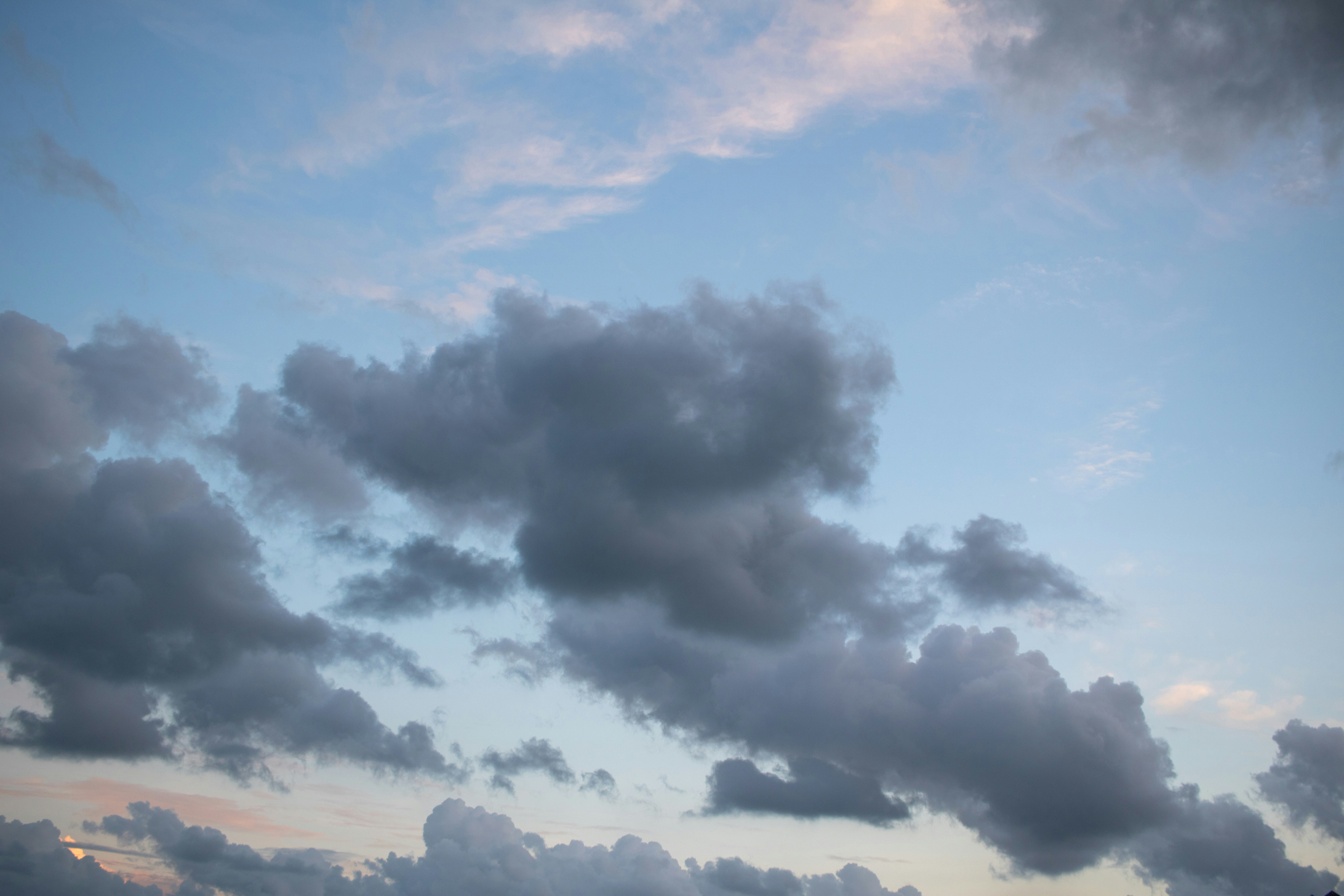 Photo by zoshuacolah