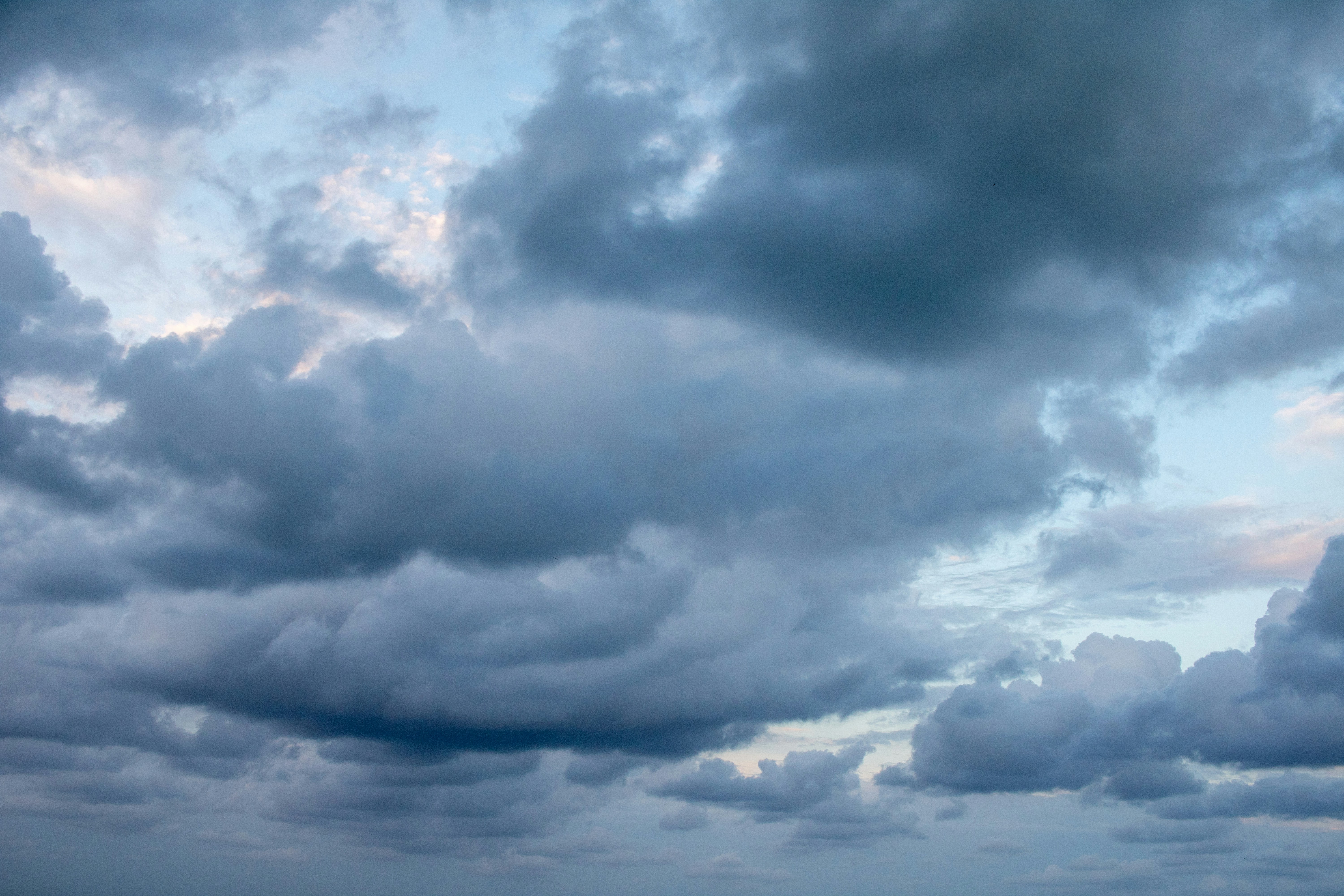 Photo by zoshuacolah