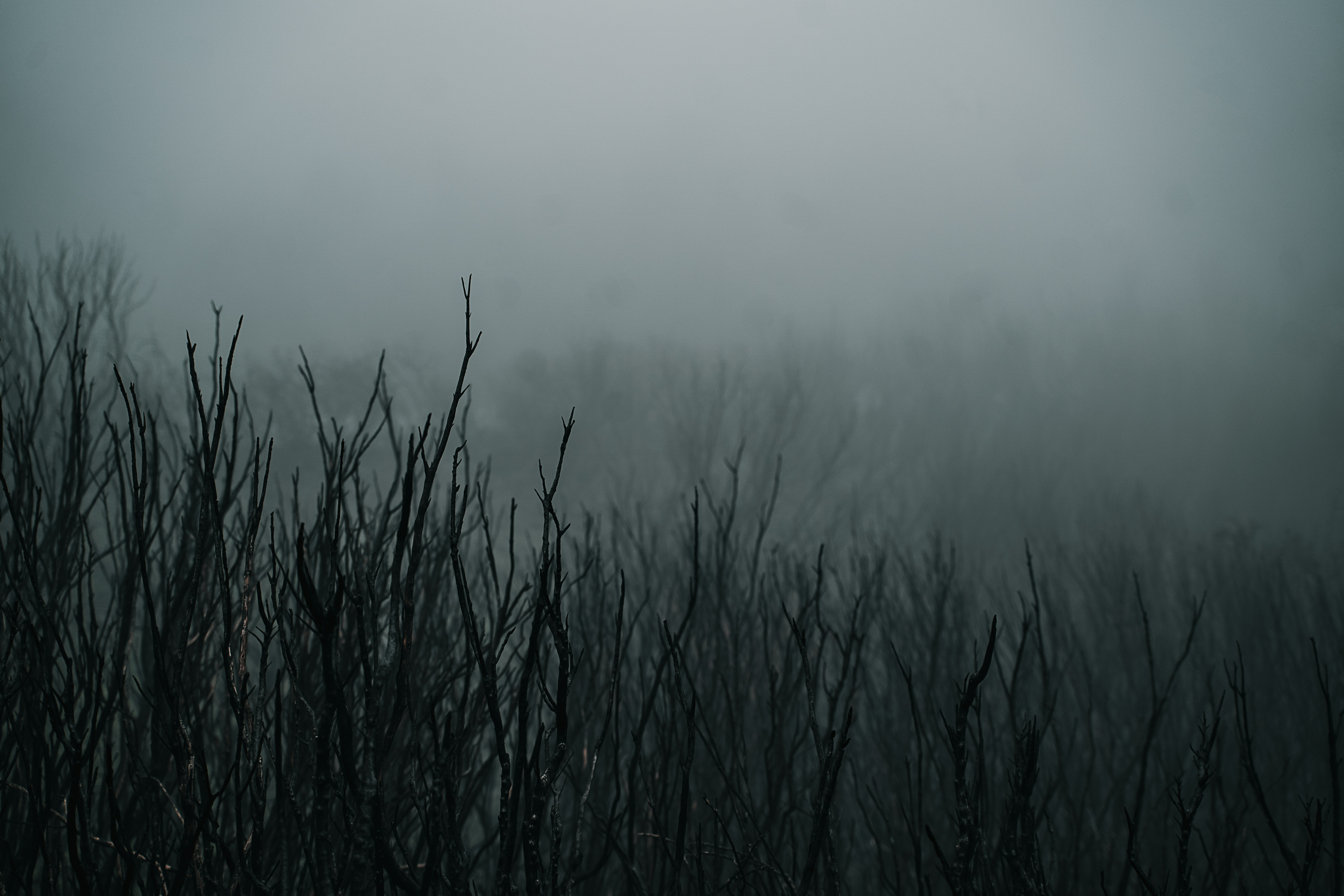 Photo by shottrotter