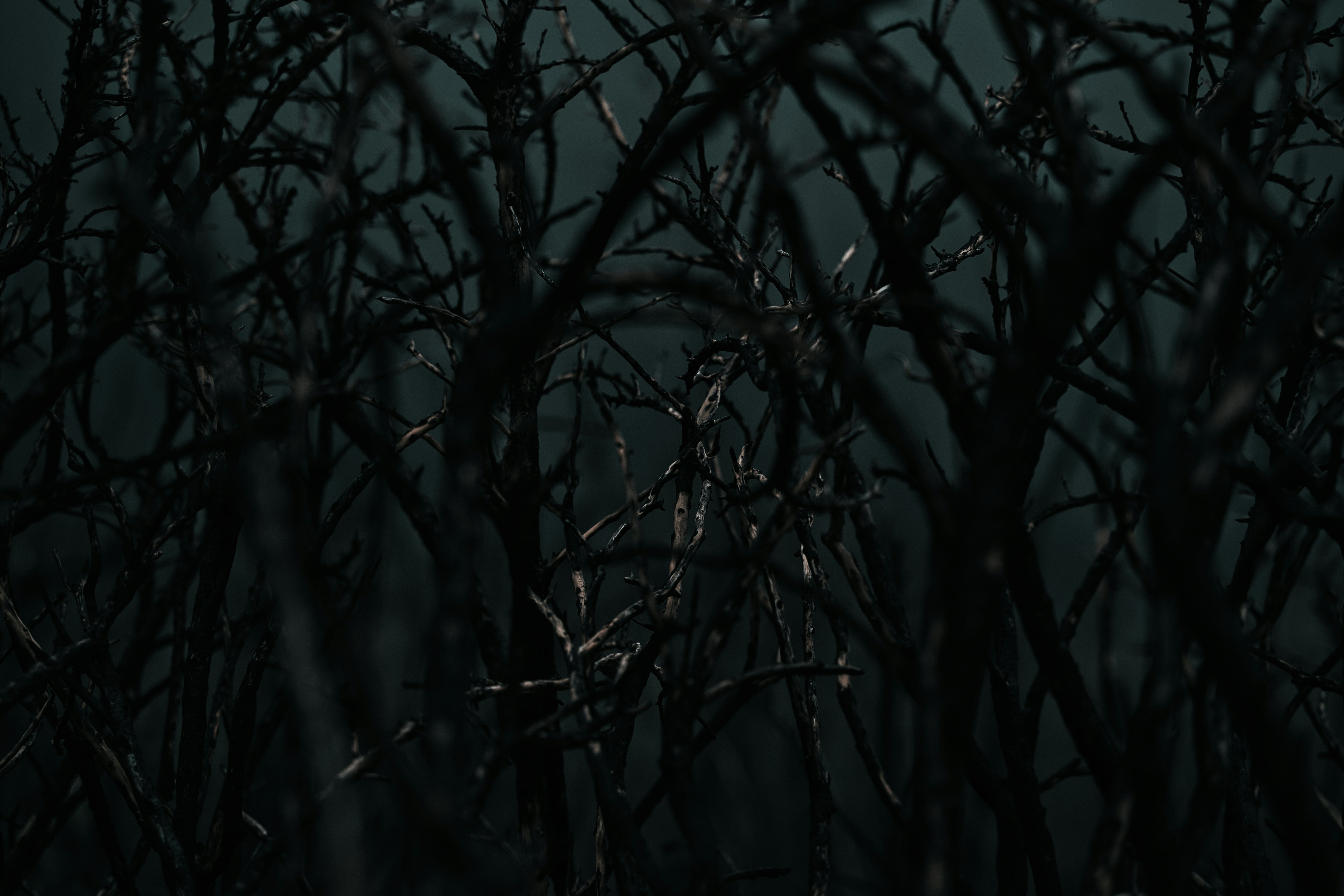 Photo by shottrotter