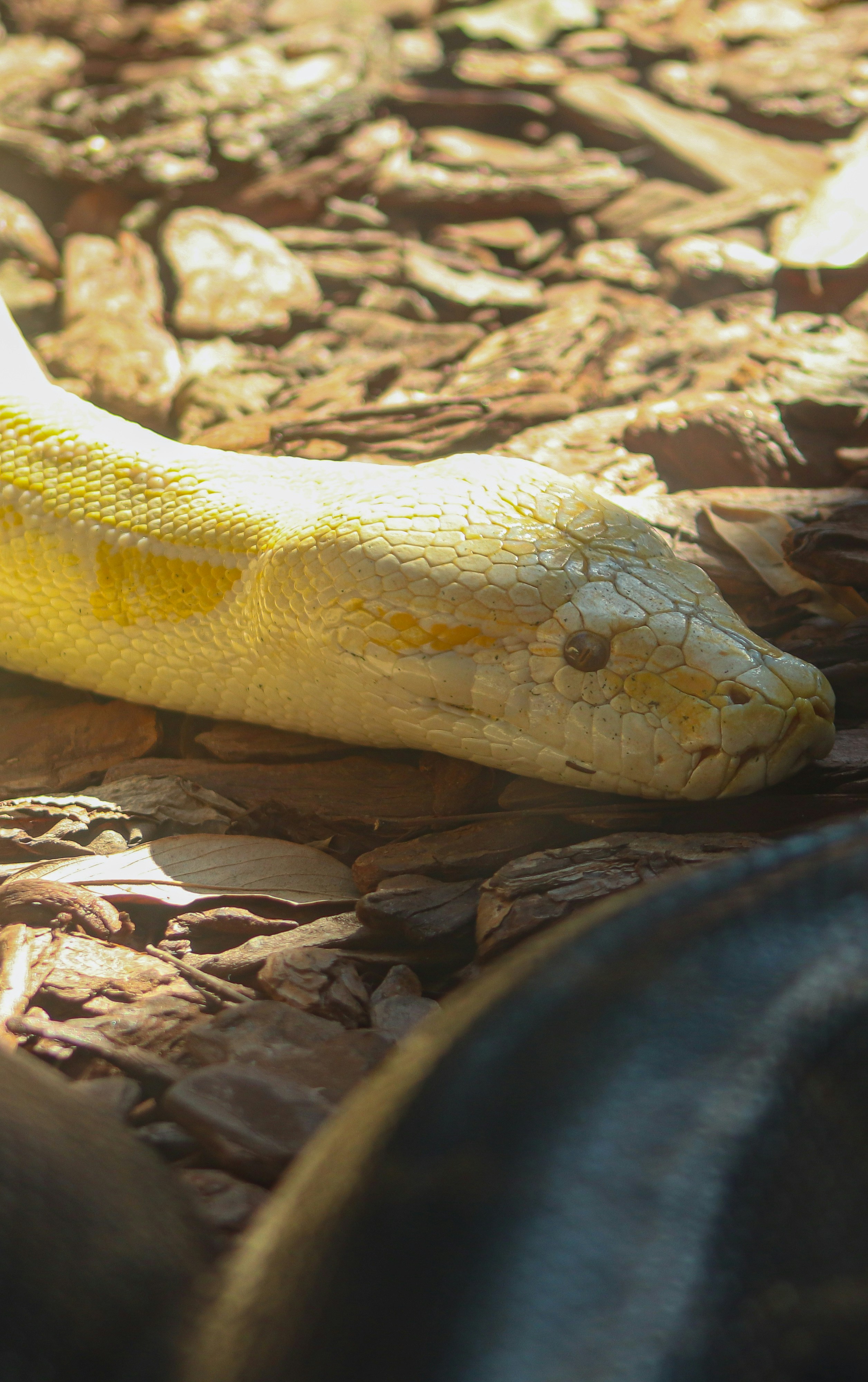 Photo by ribeiro__jean