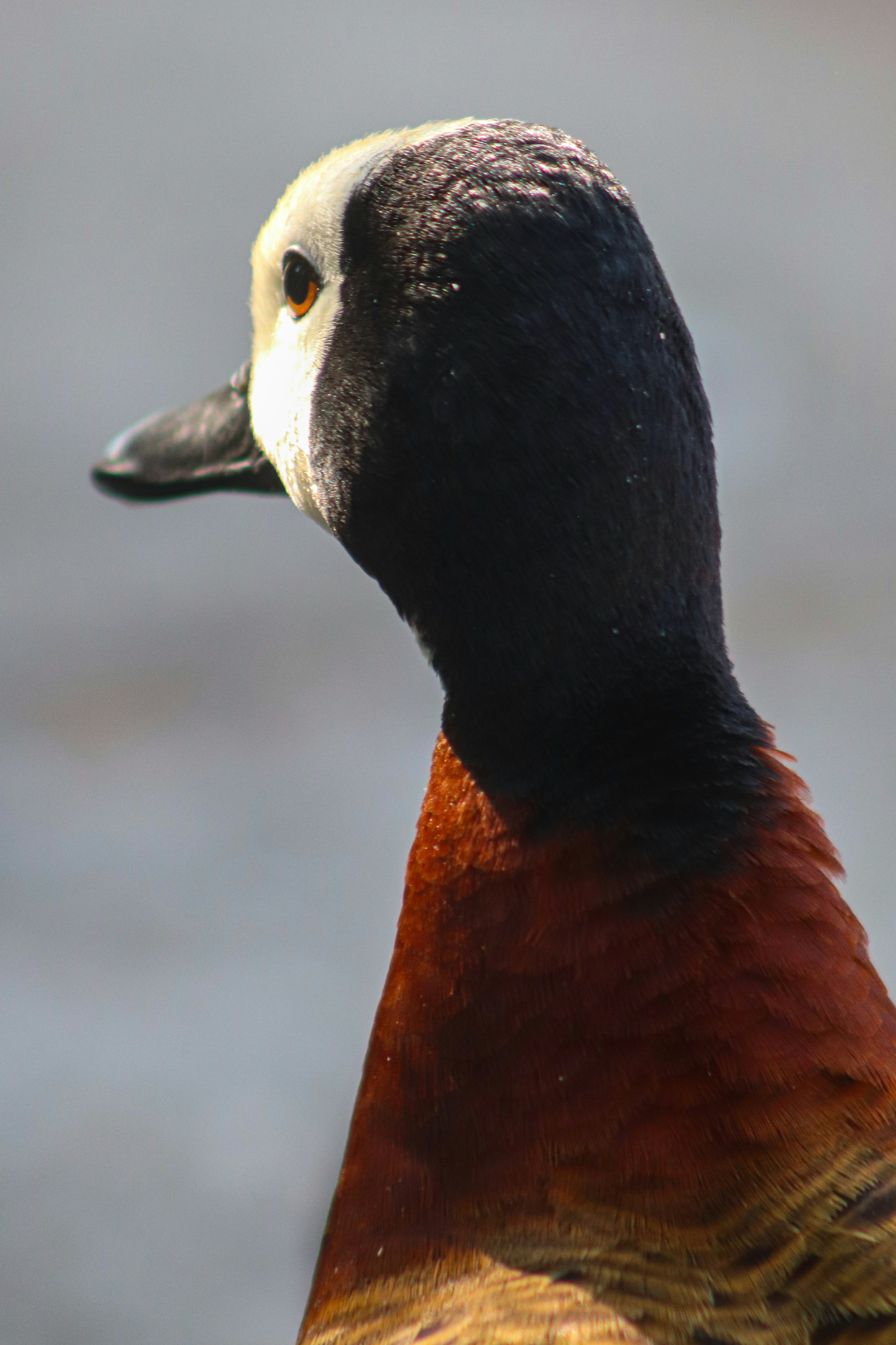 Photo by ribeiro__jean