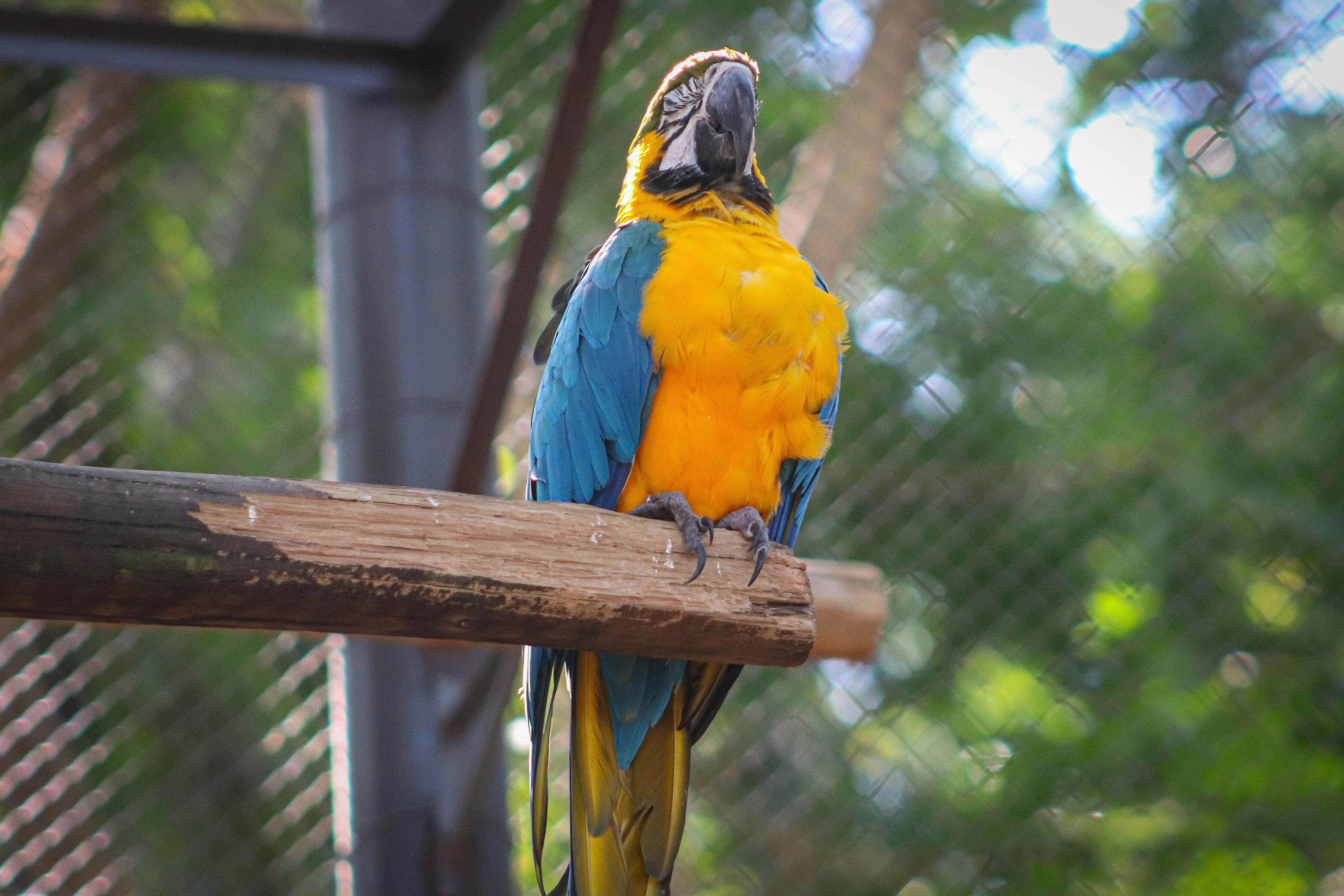 Photo by ribeiro__jean