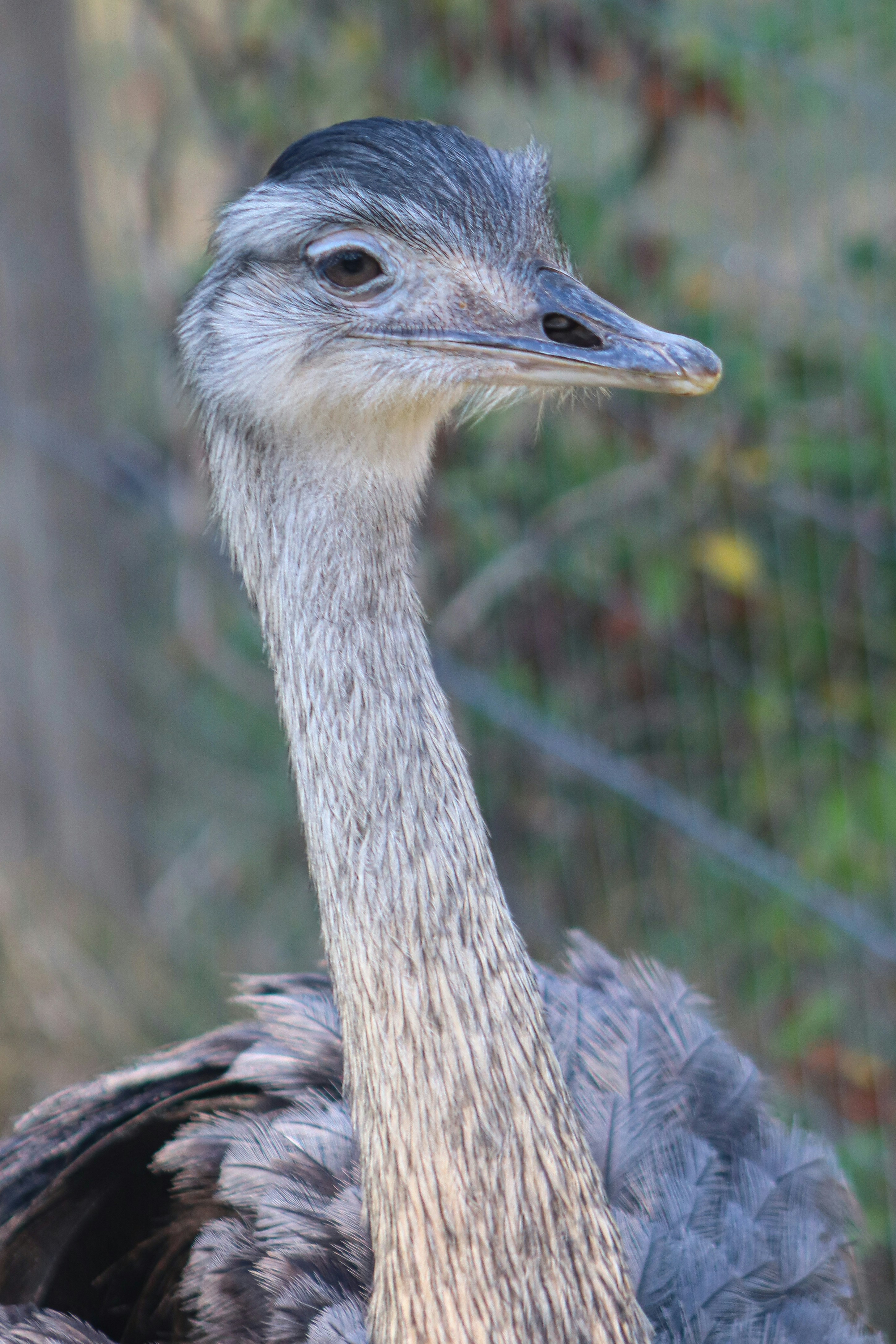 Photo by ribeiro__jean