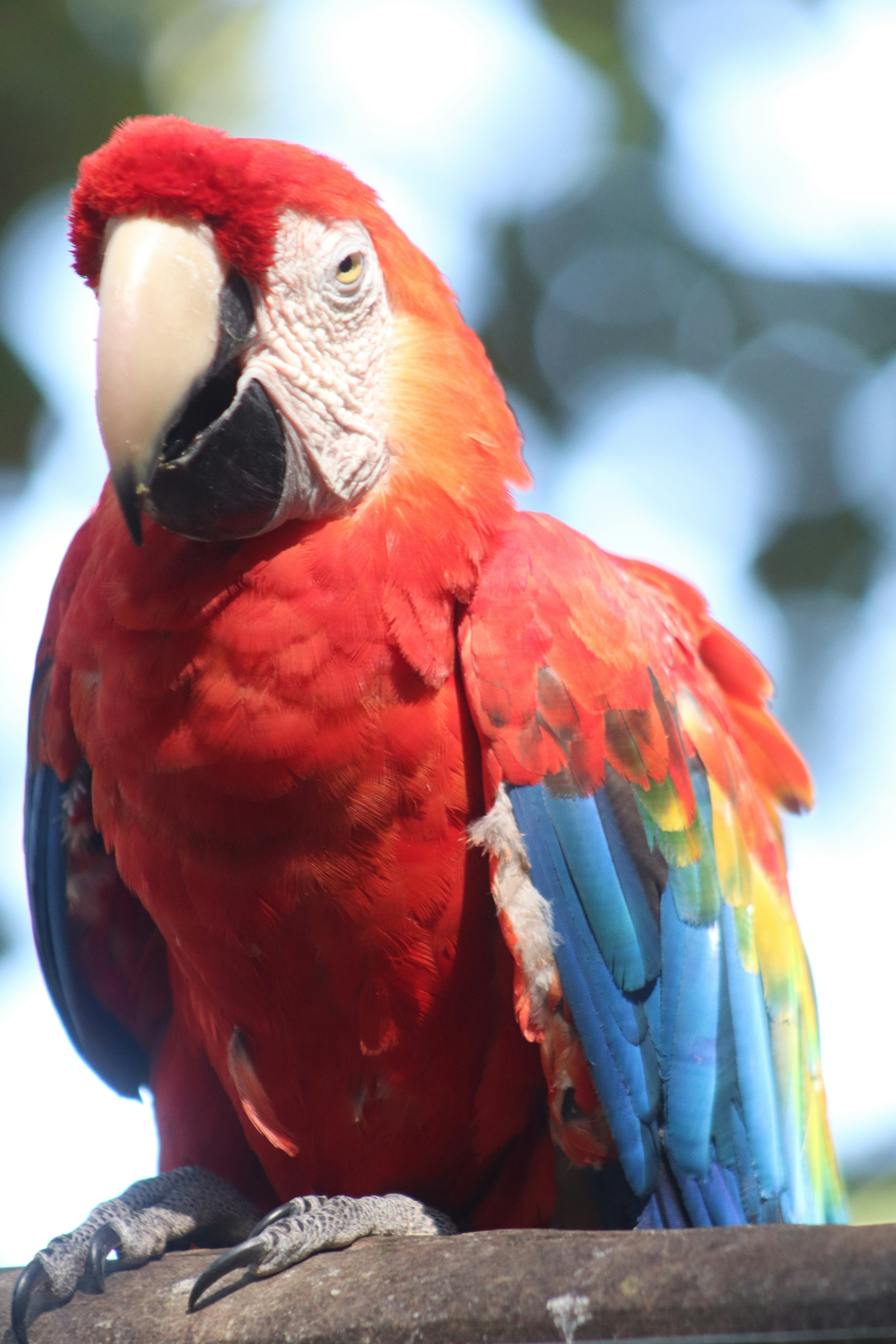 Photo by ribeiro__jean