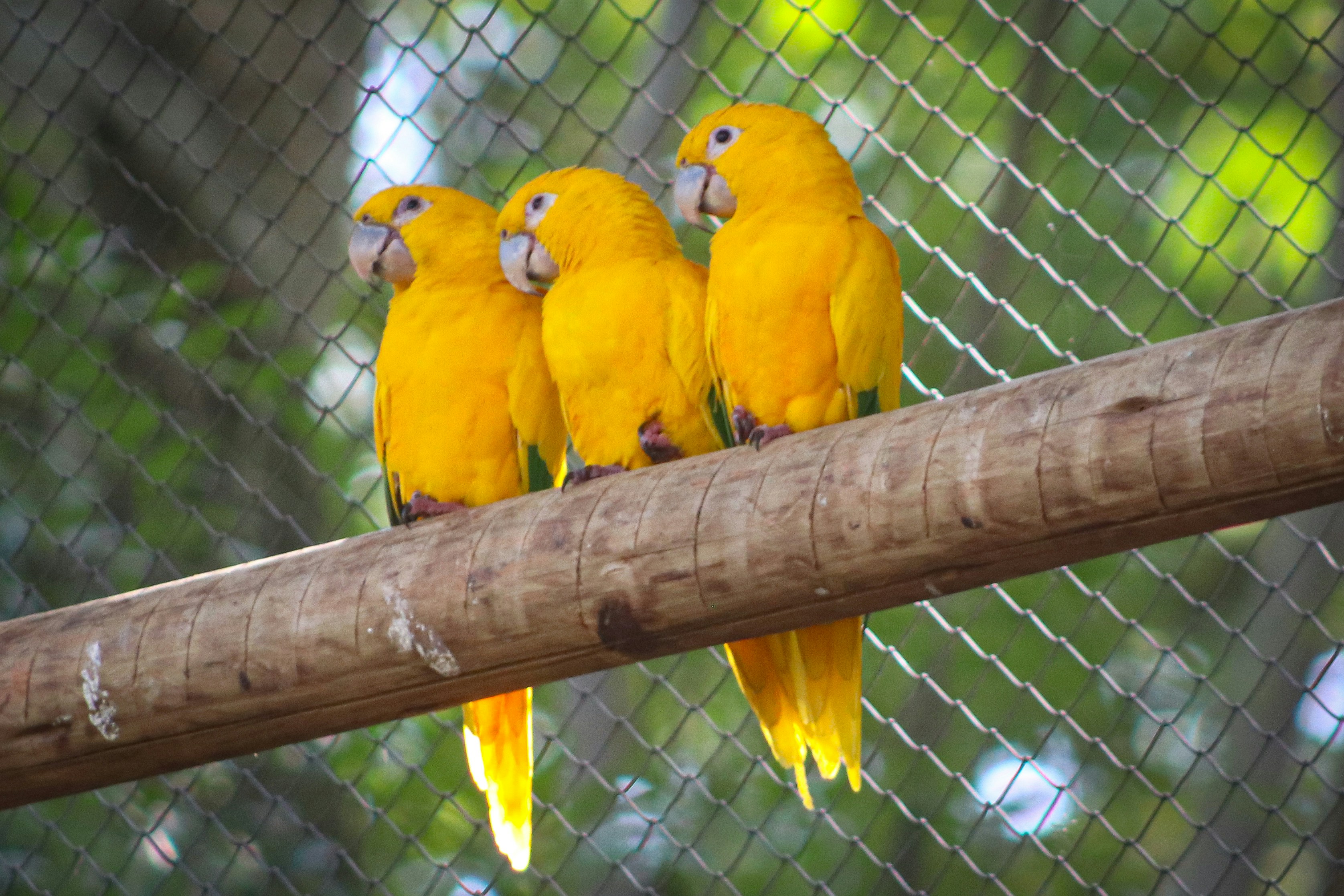 Photo by ribeiro__jean