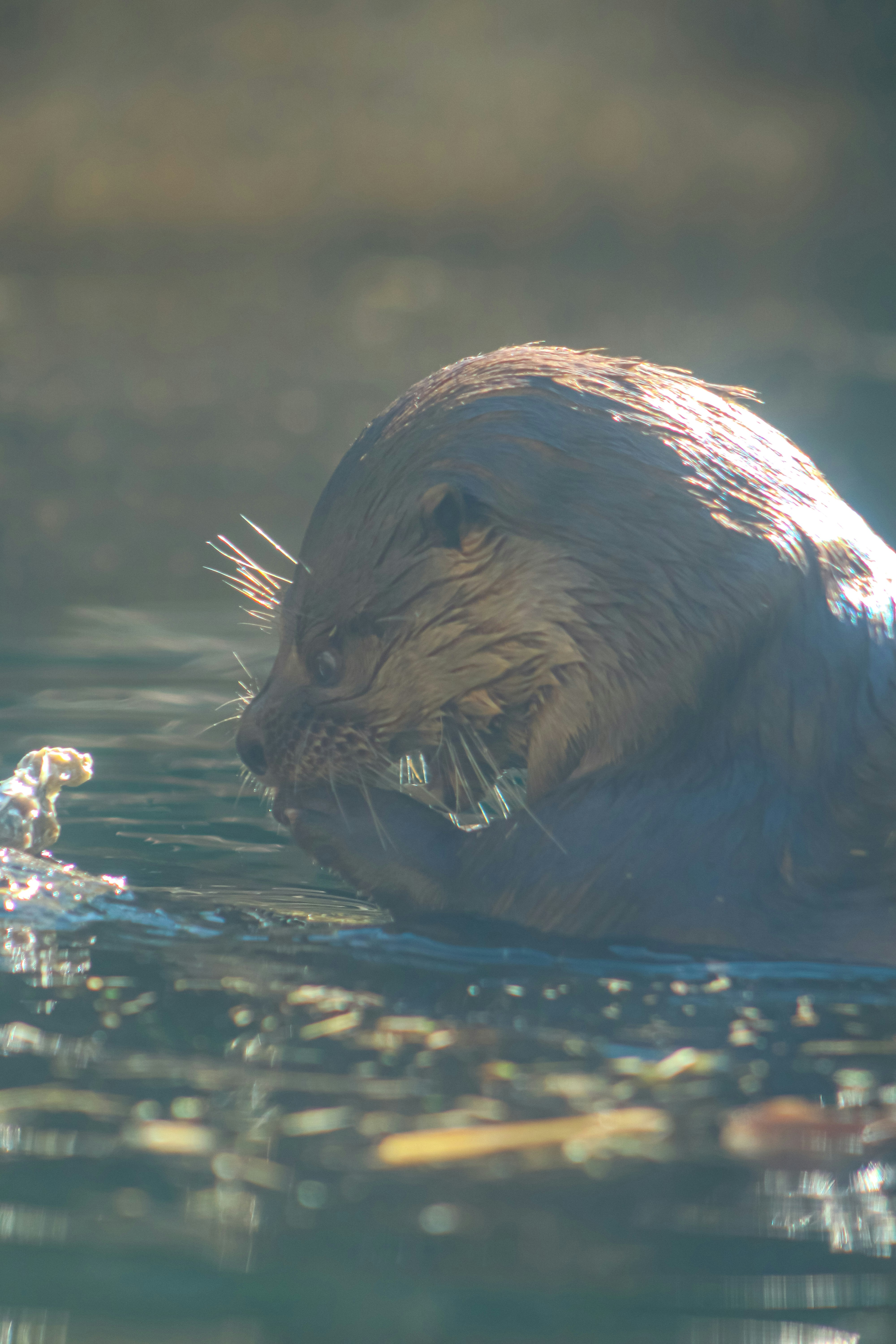 Photo by ribeiro__jean