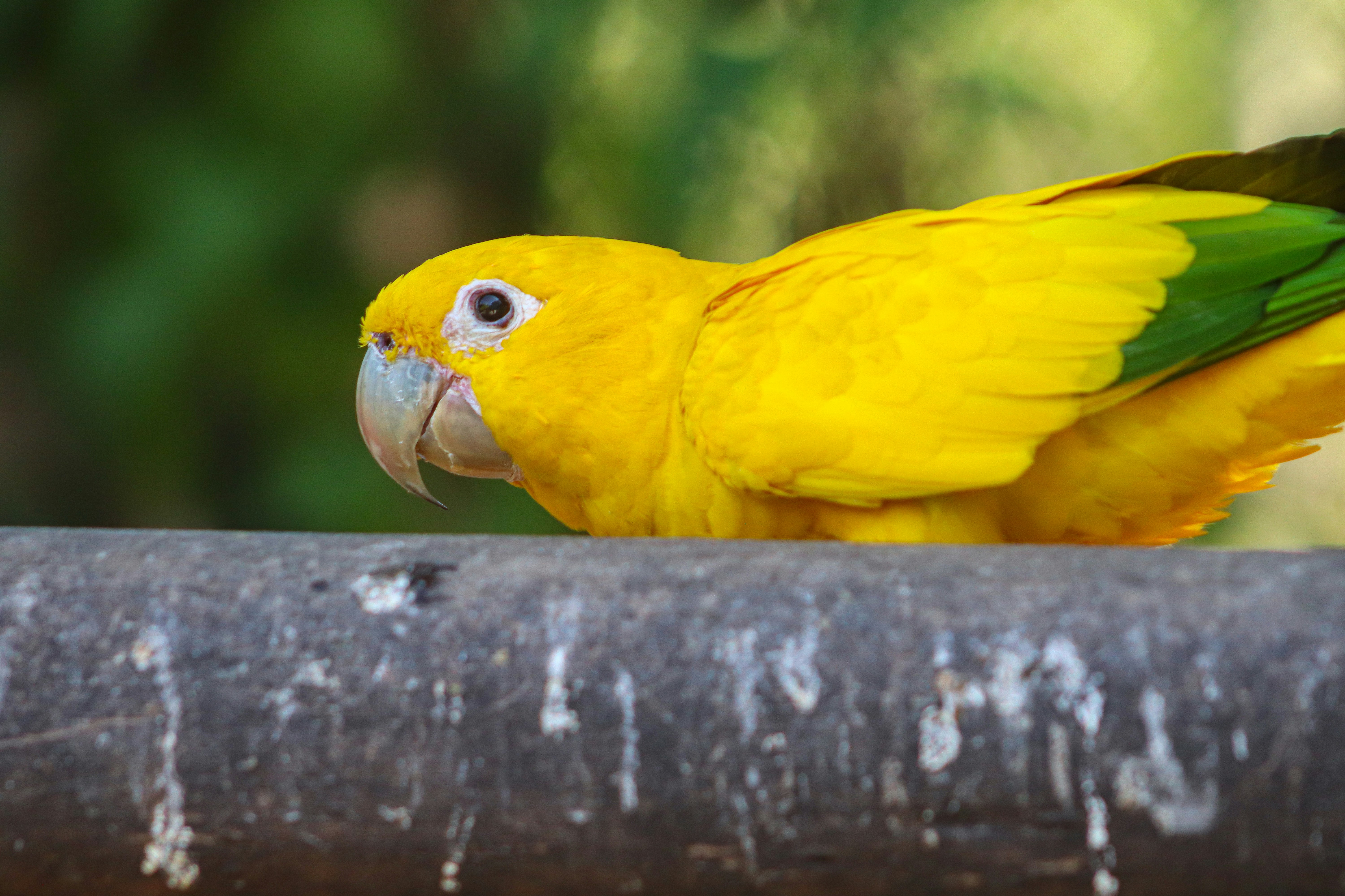 Photo by ribeiro__jean