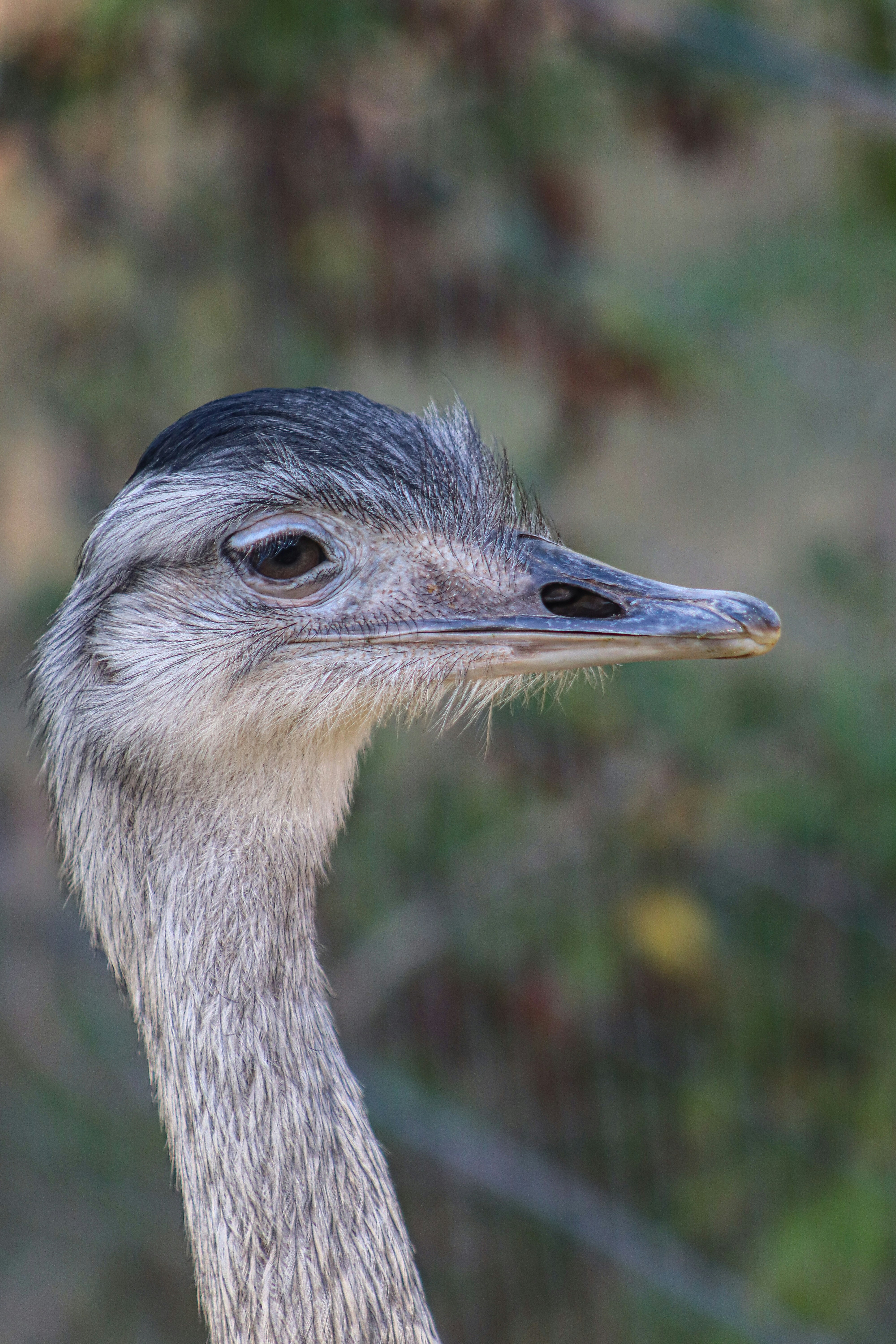 Photo by ribeiro__jean