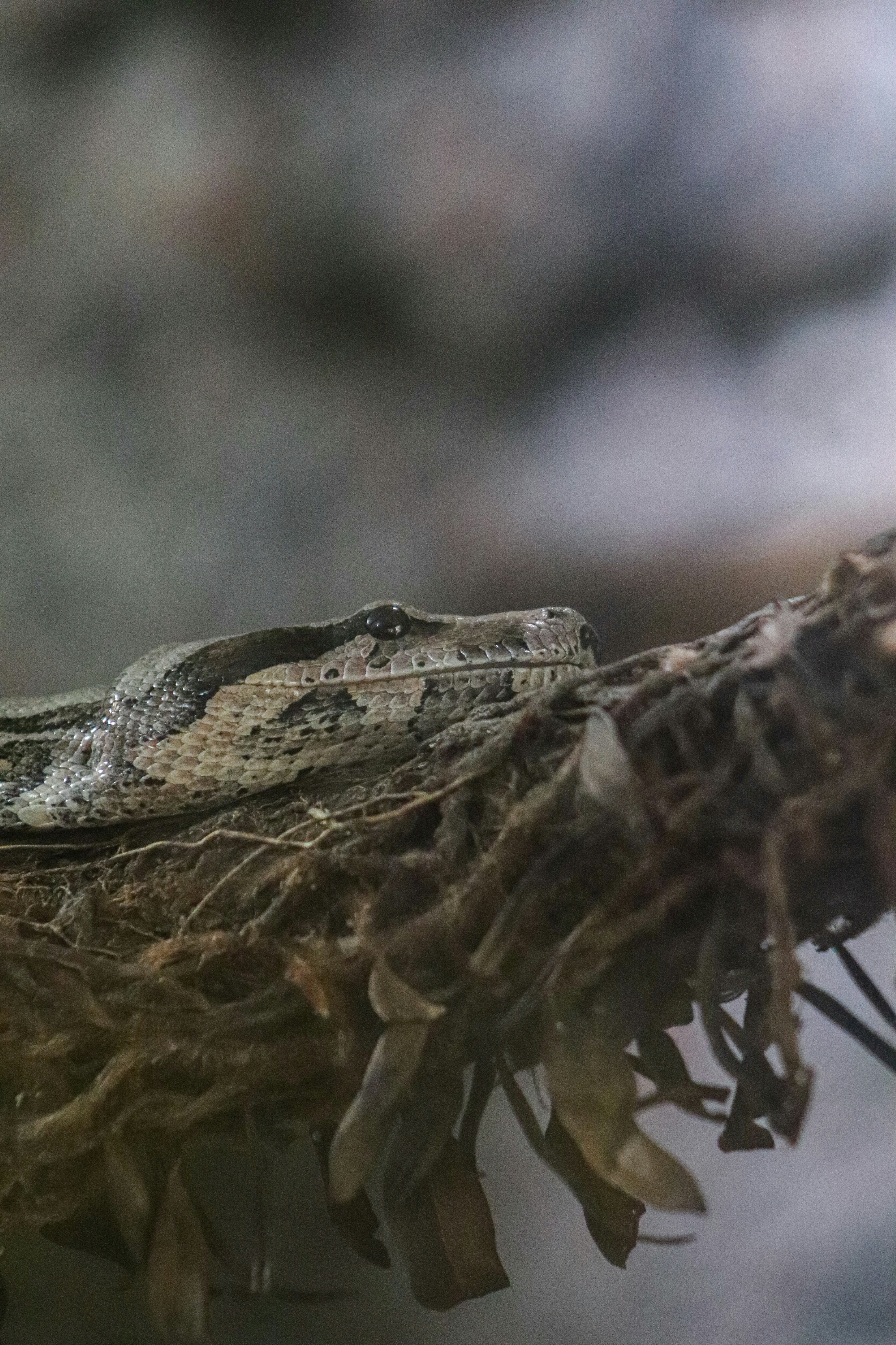 Photo by ribeiro__jean