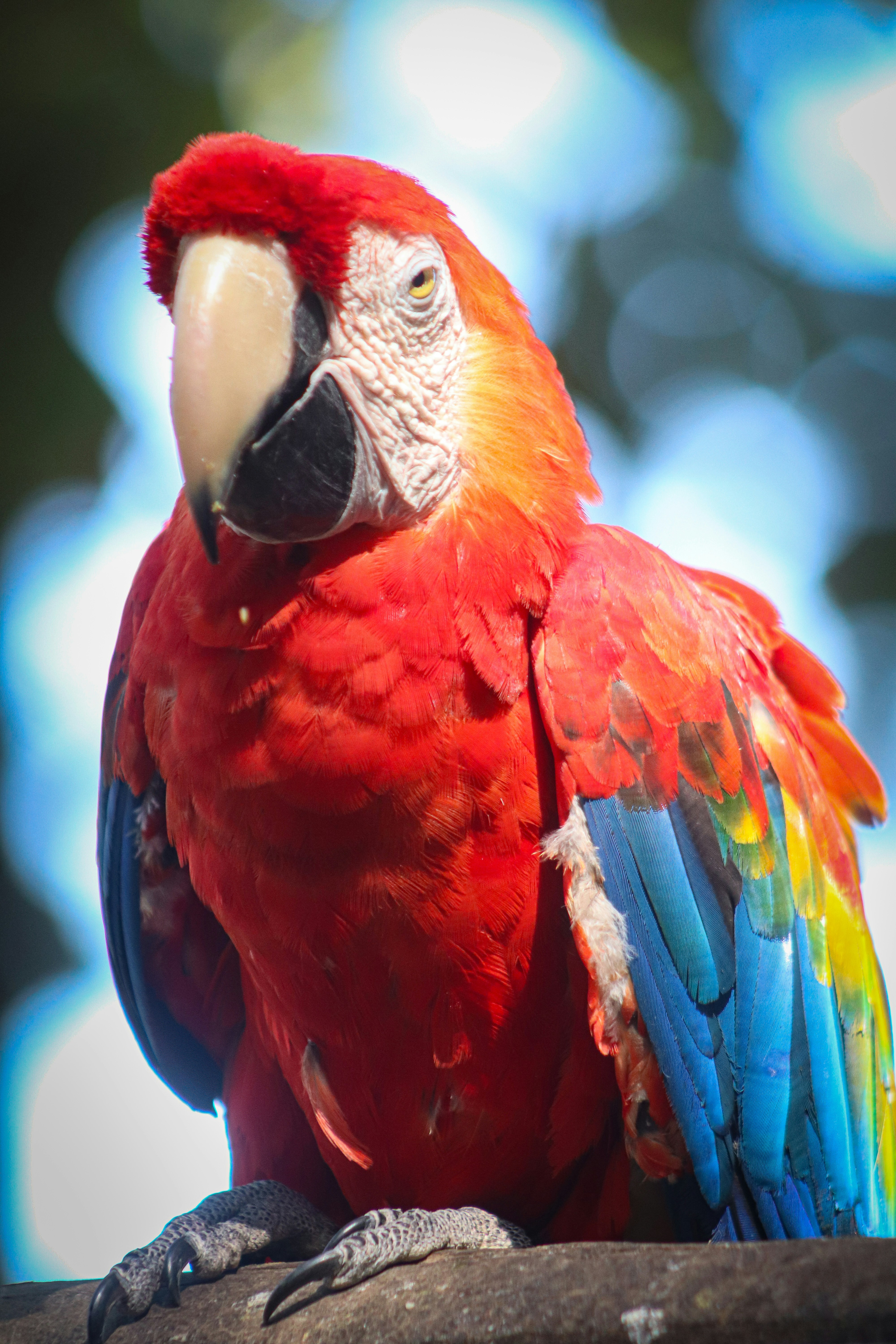 Photo by ribeiro__jean