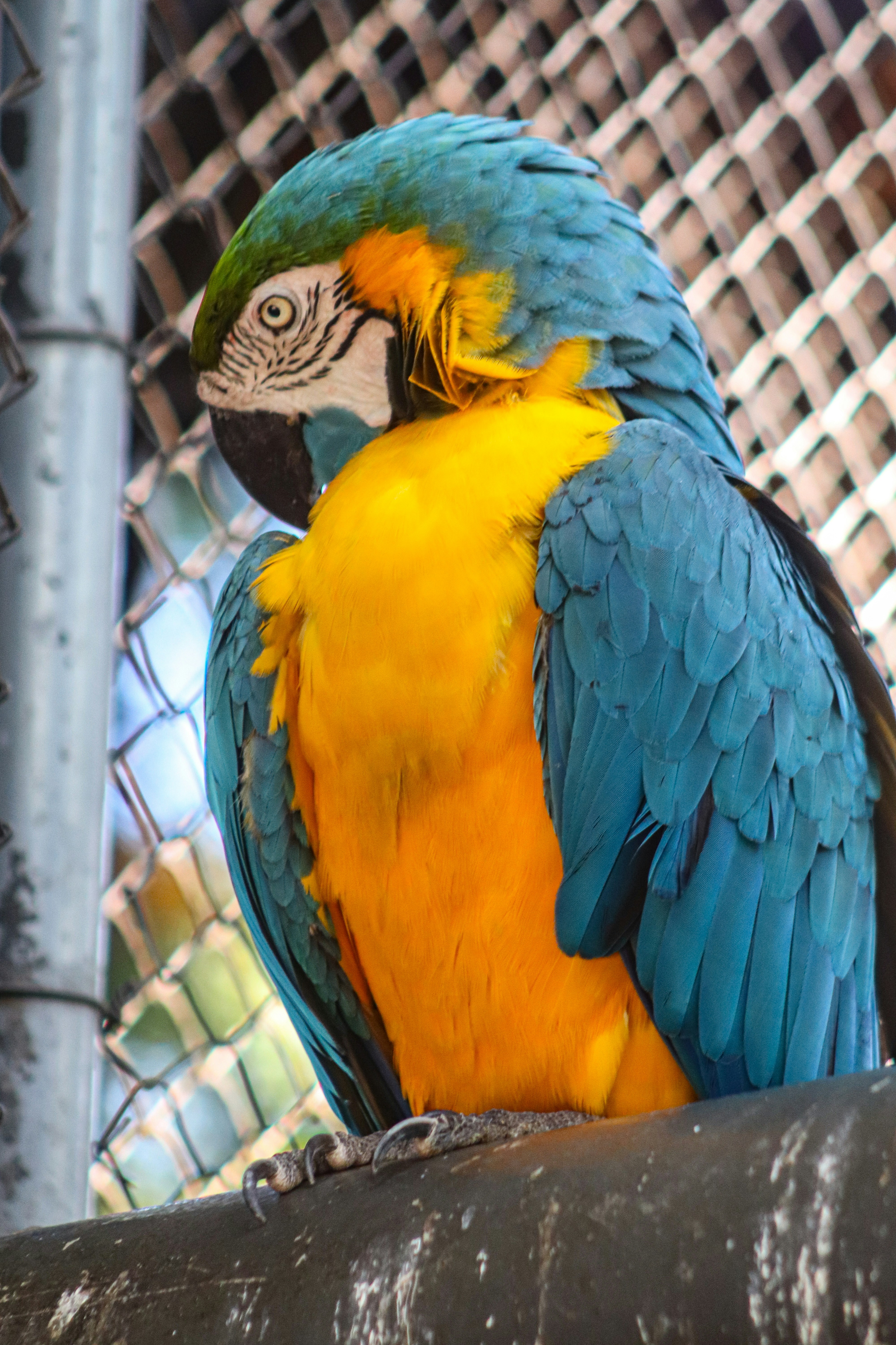 Photo by ribeiro__jean