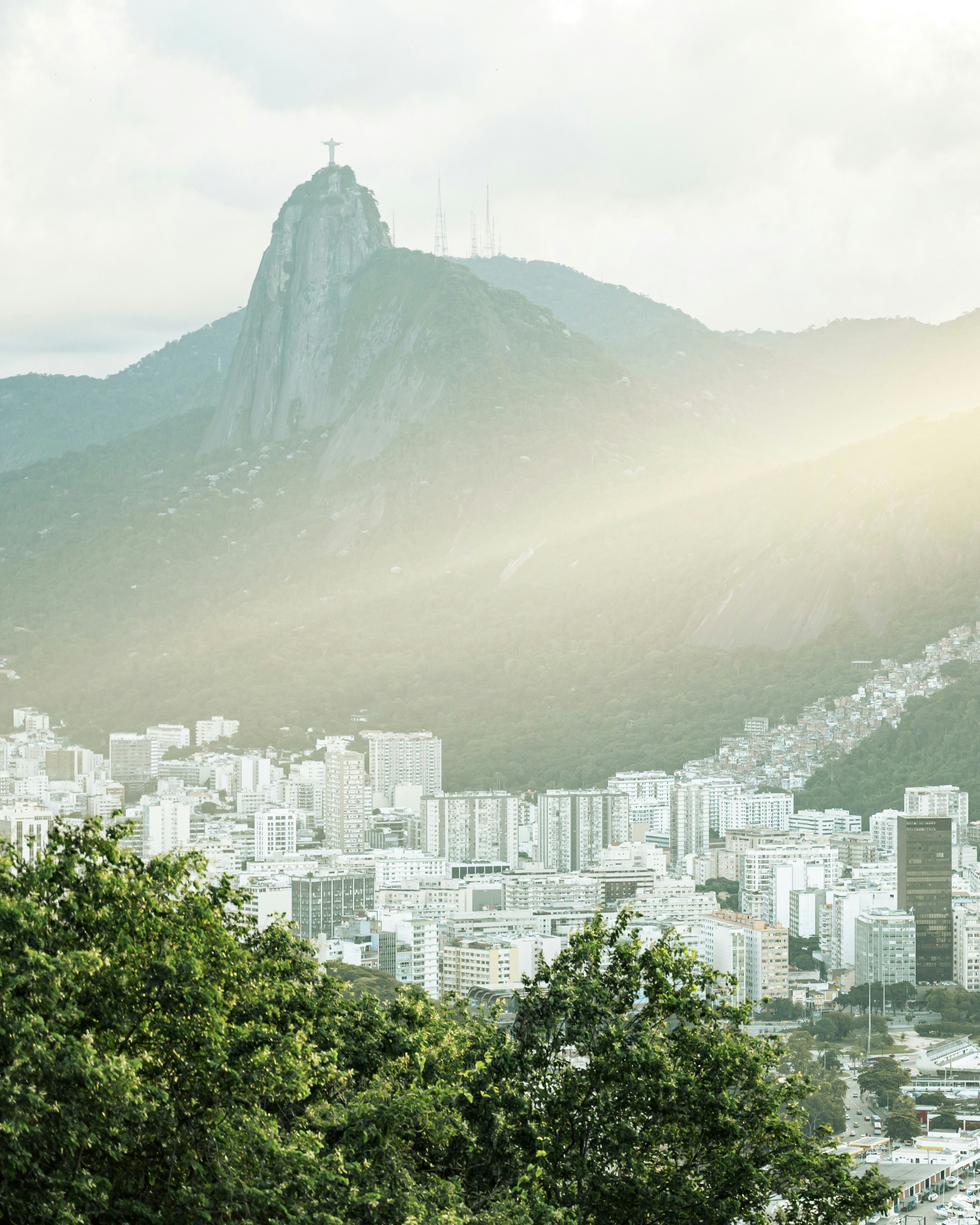 A view of a city with a mountain in the background