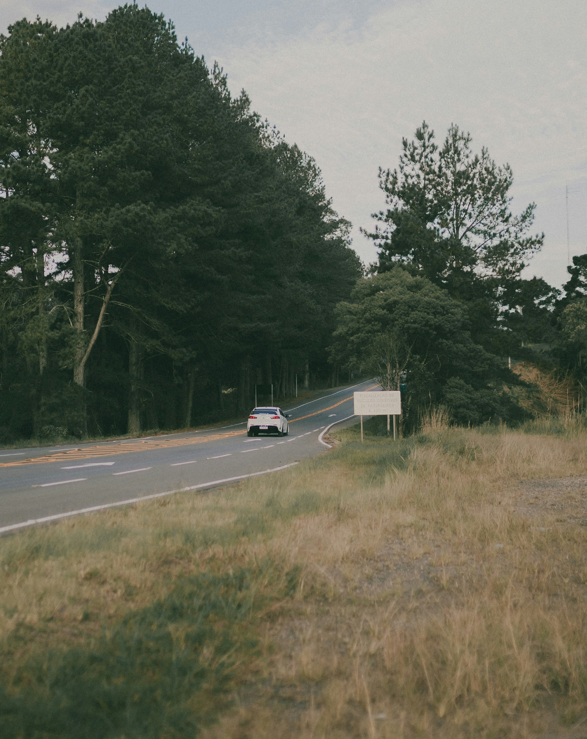 Photo by alexandermassph