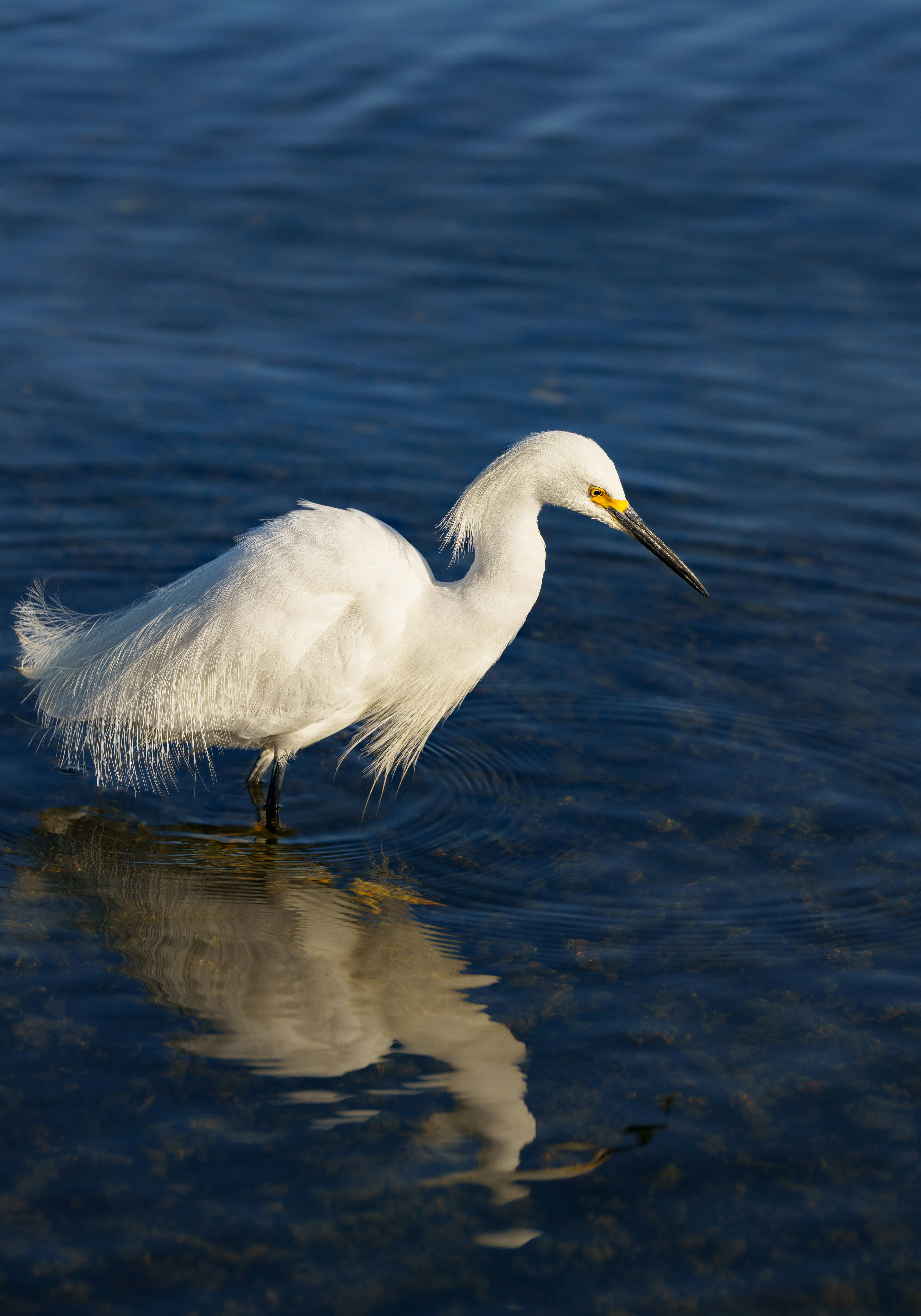 Photo by happy_pixel