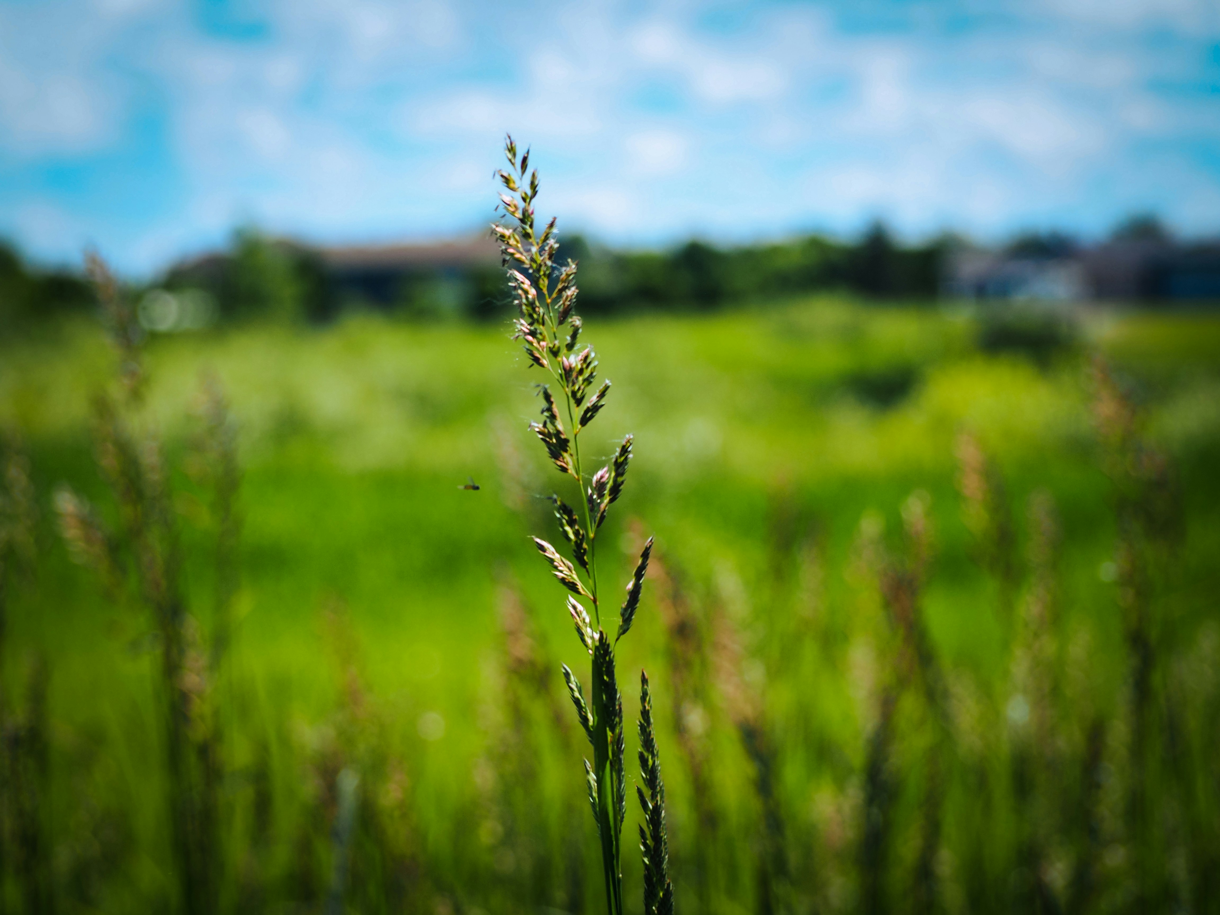 Photo by samueljames16