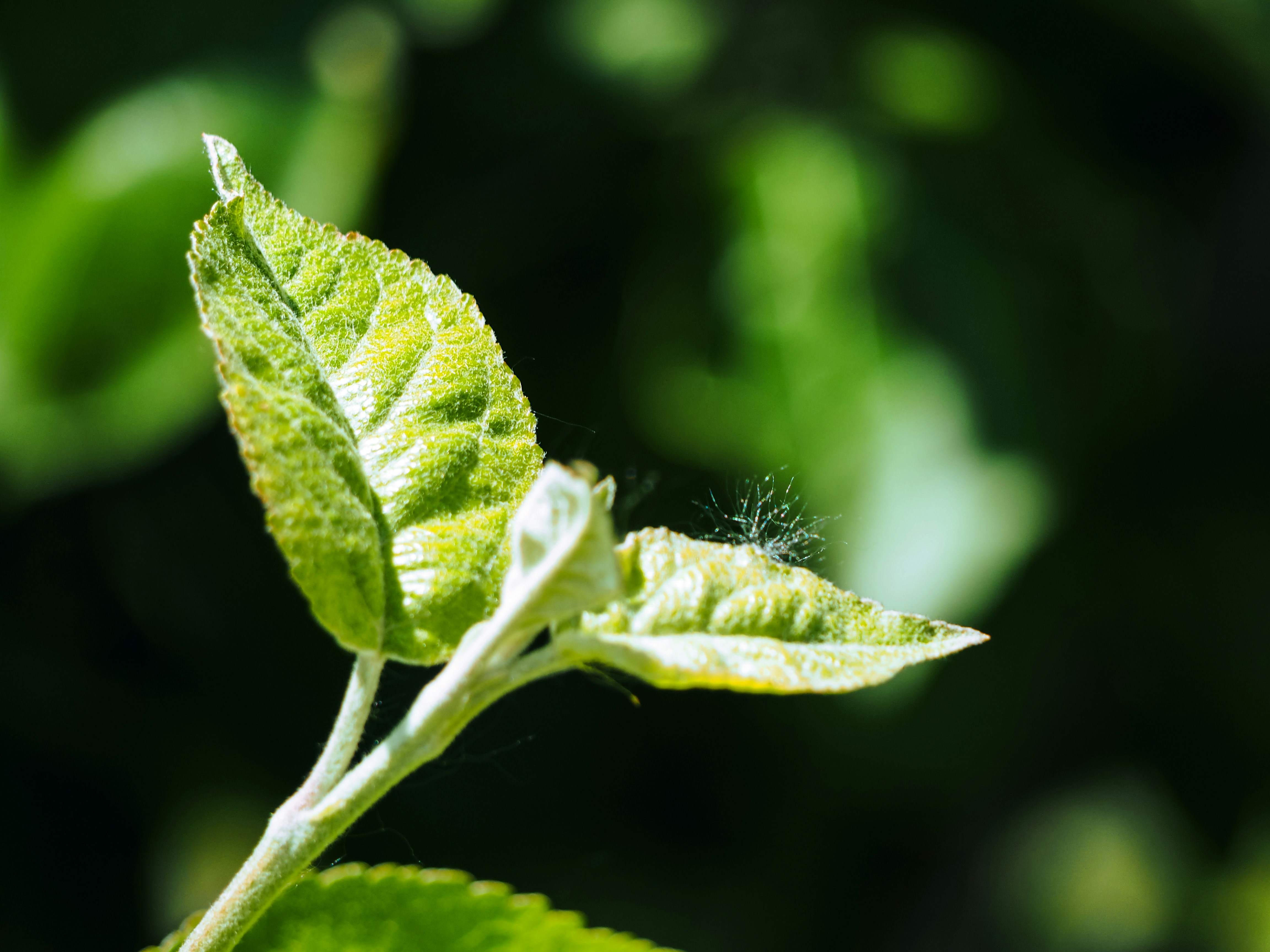 Photo by samueljames16