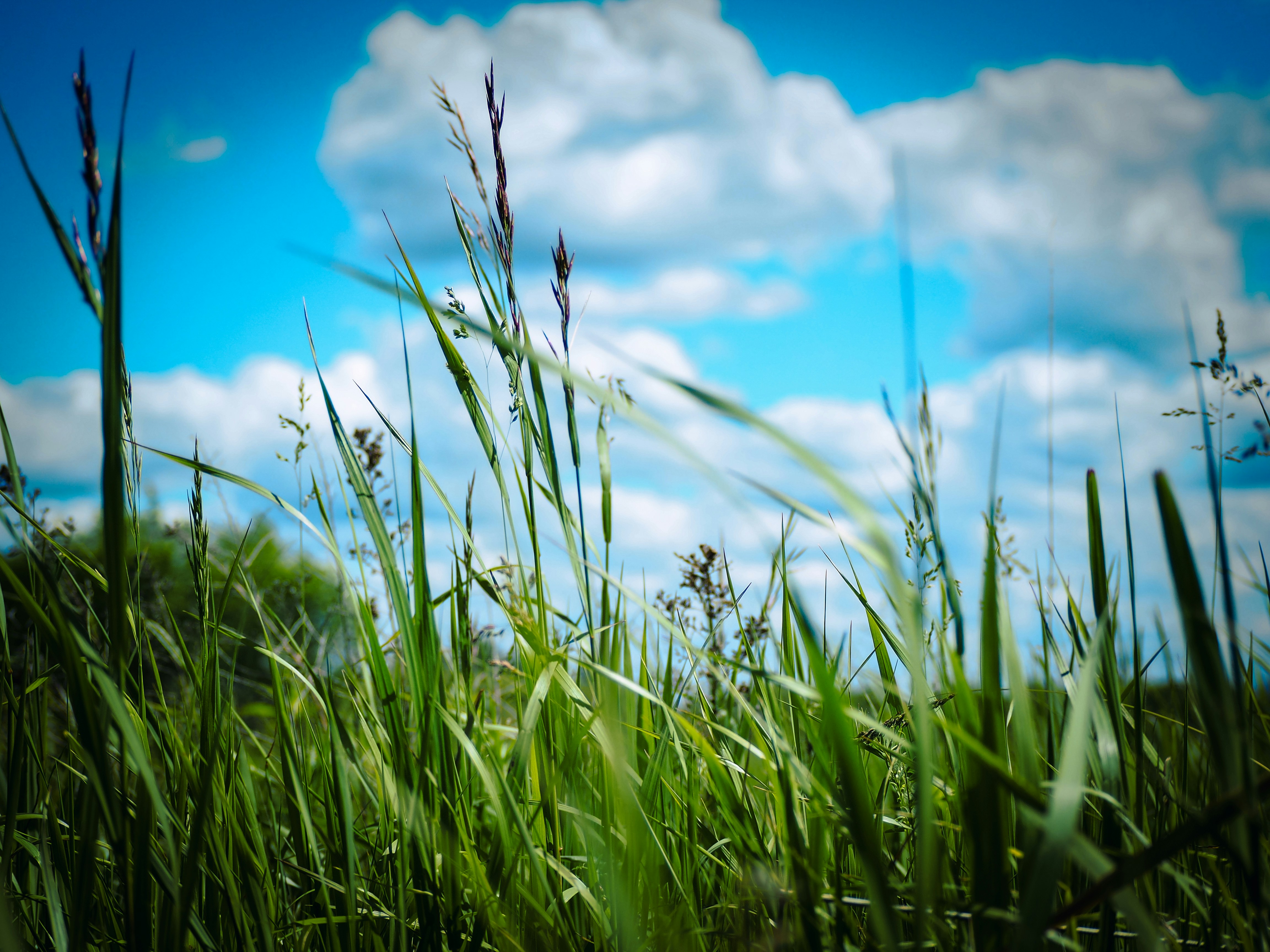 Photo by samueljames16