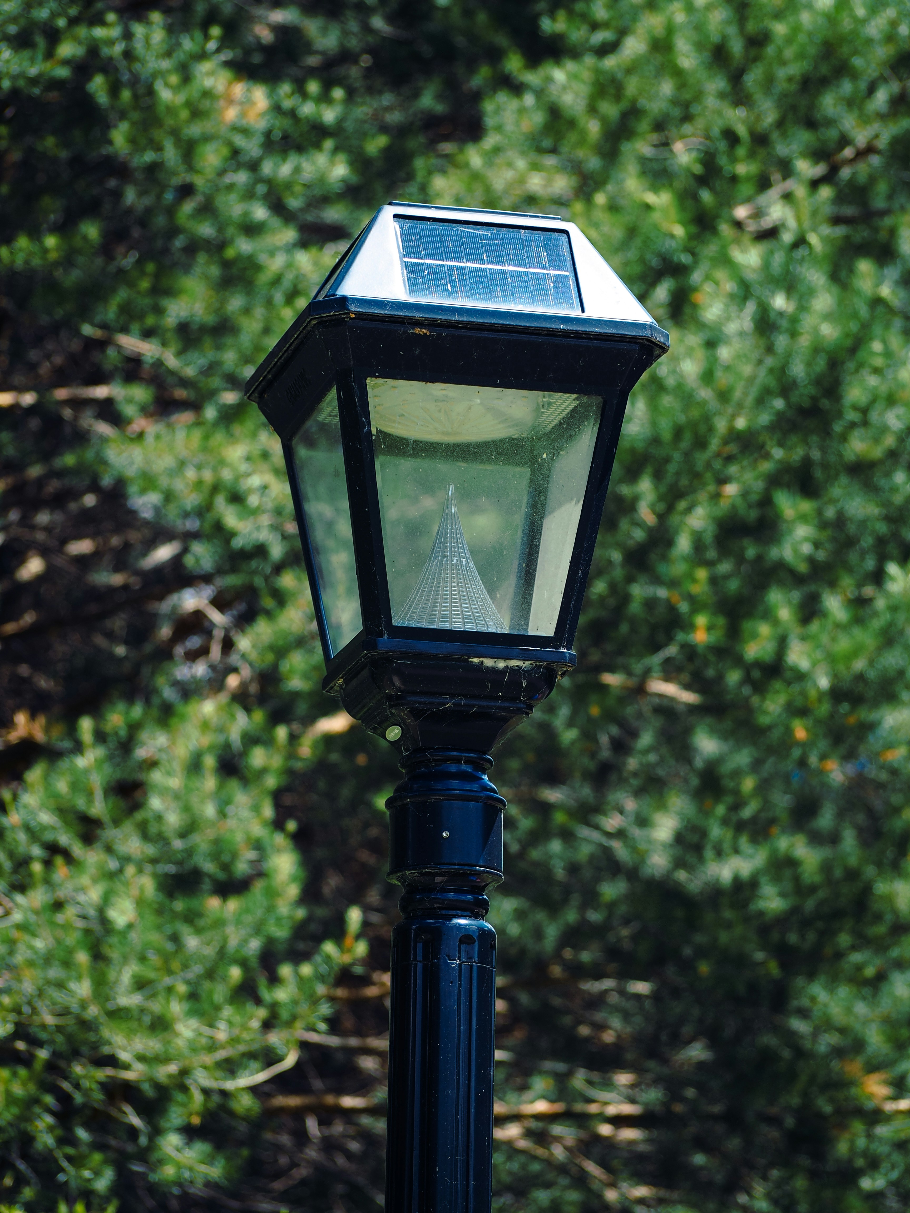 Photo by samueljames16