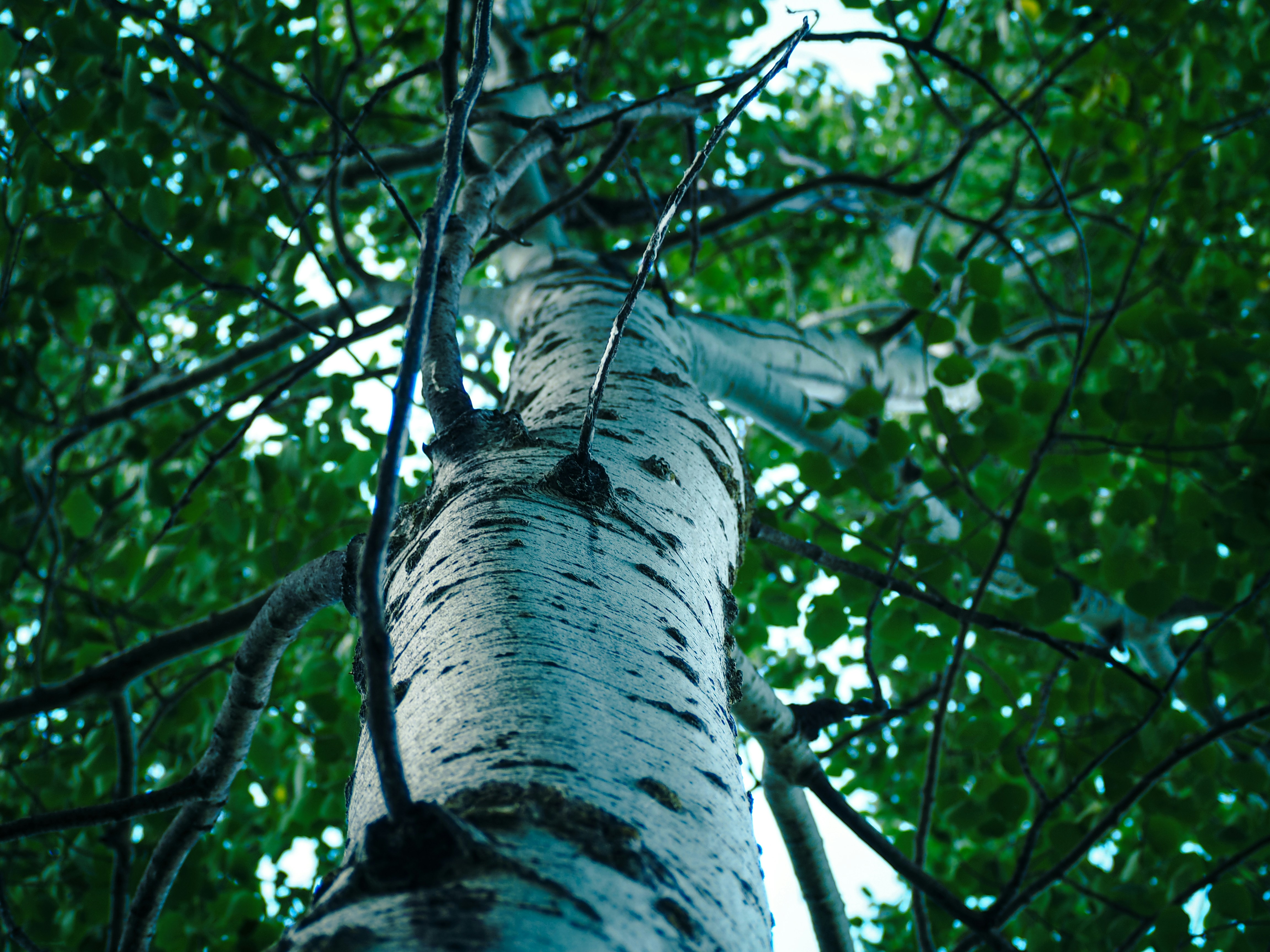 Photo by samueljames16