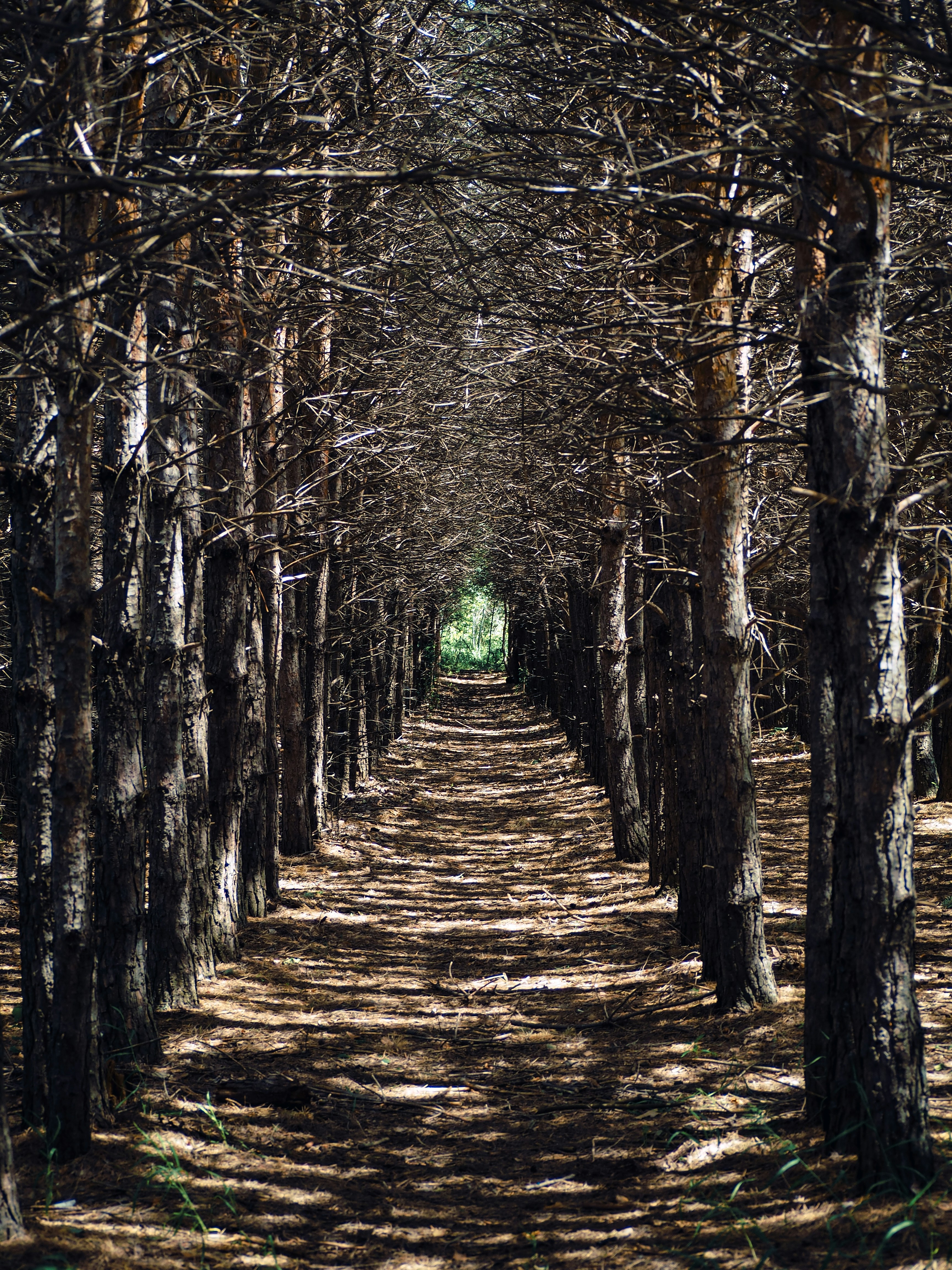 Photo by samueljames16