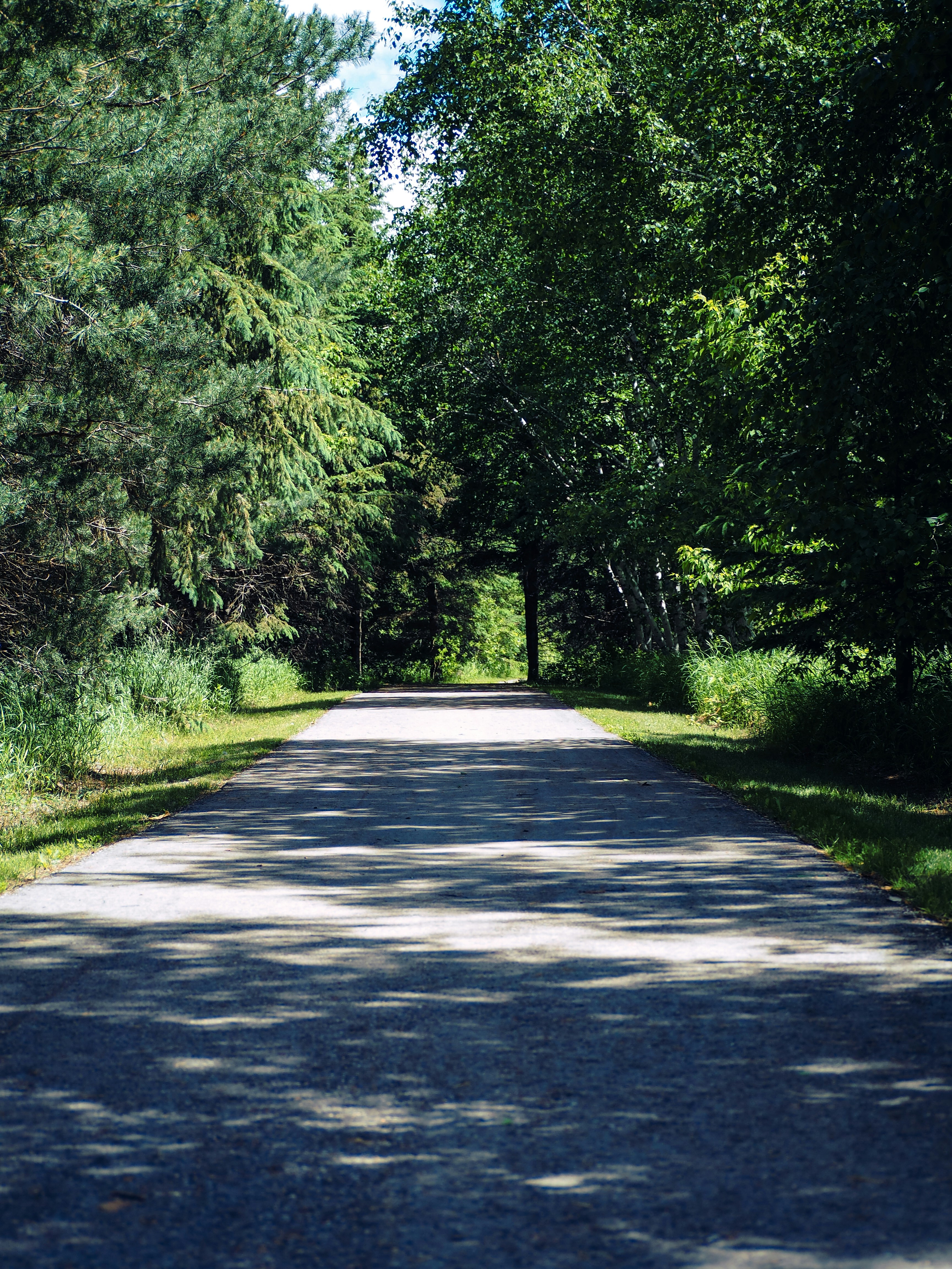 Photo by samueljames16