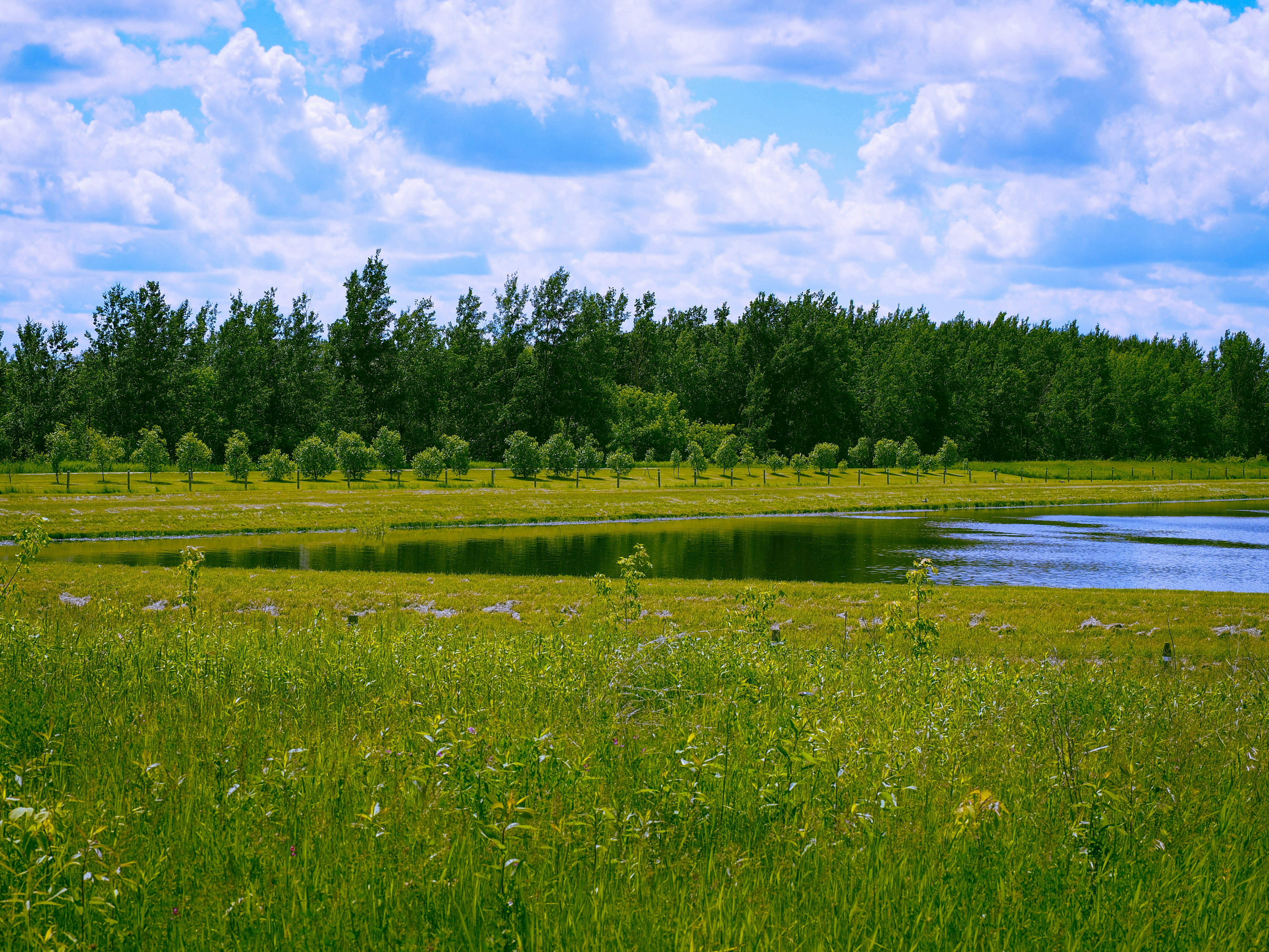 Photo by samueljames16