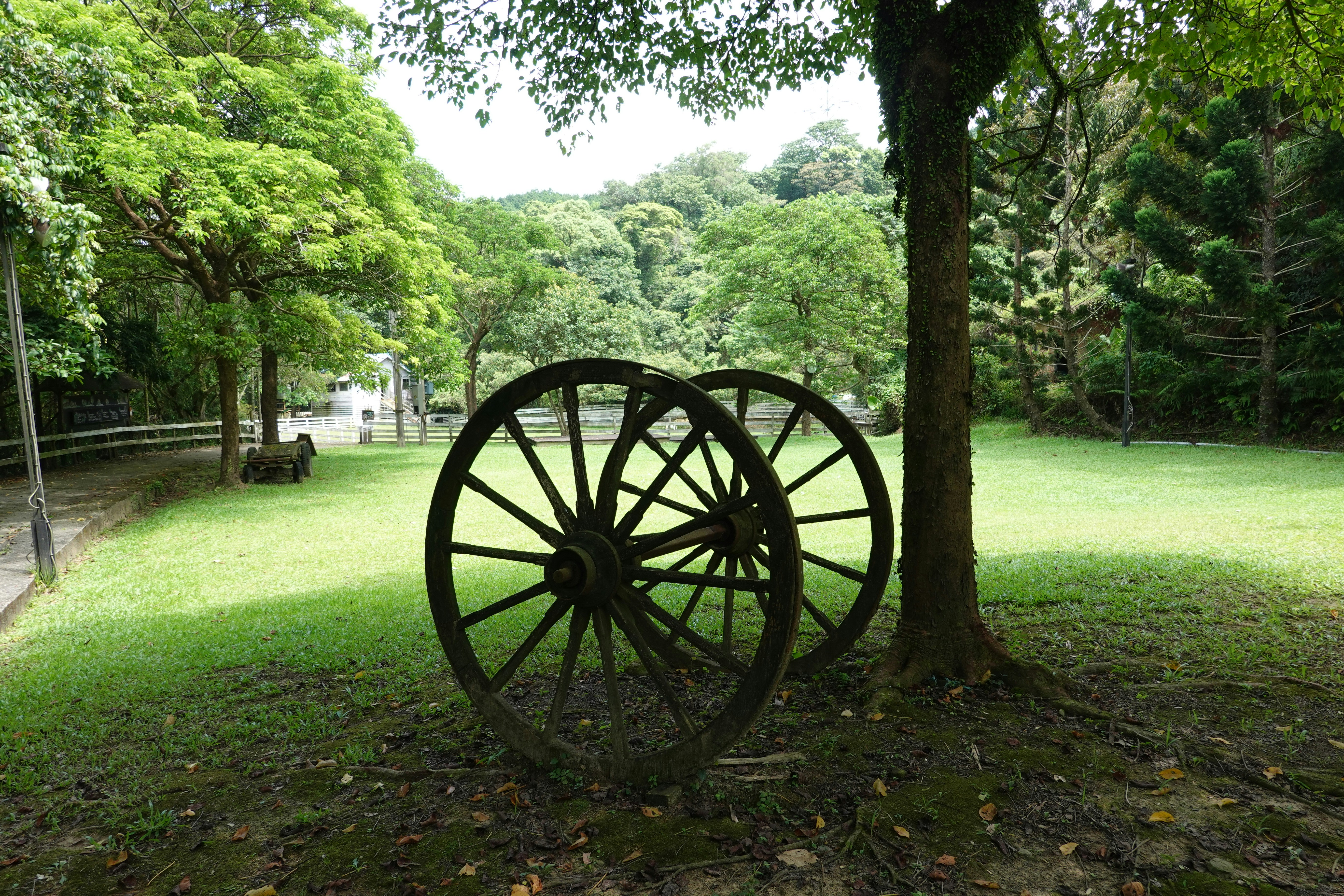 Wagon Wheel Park