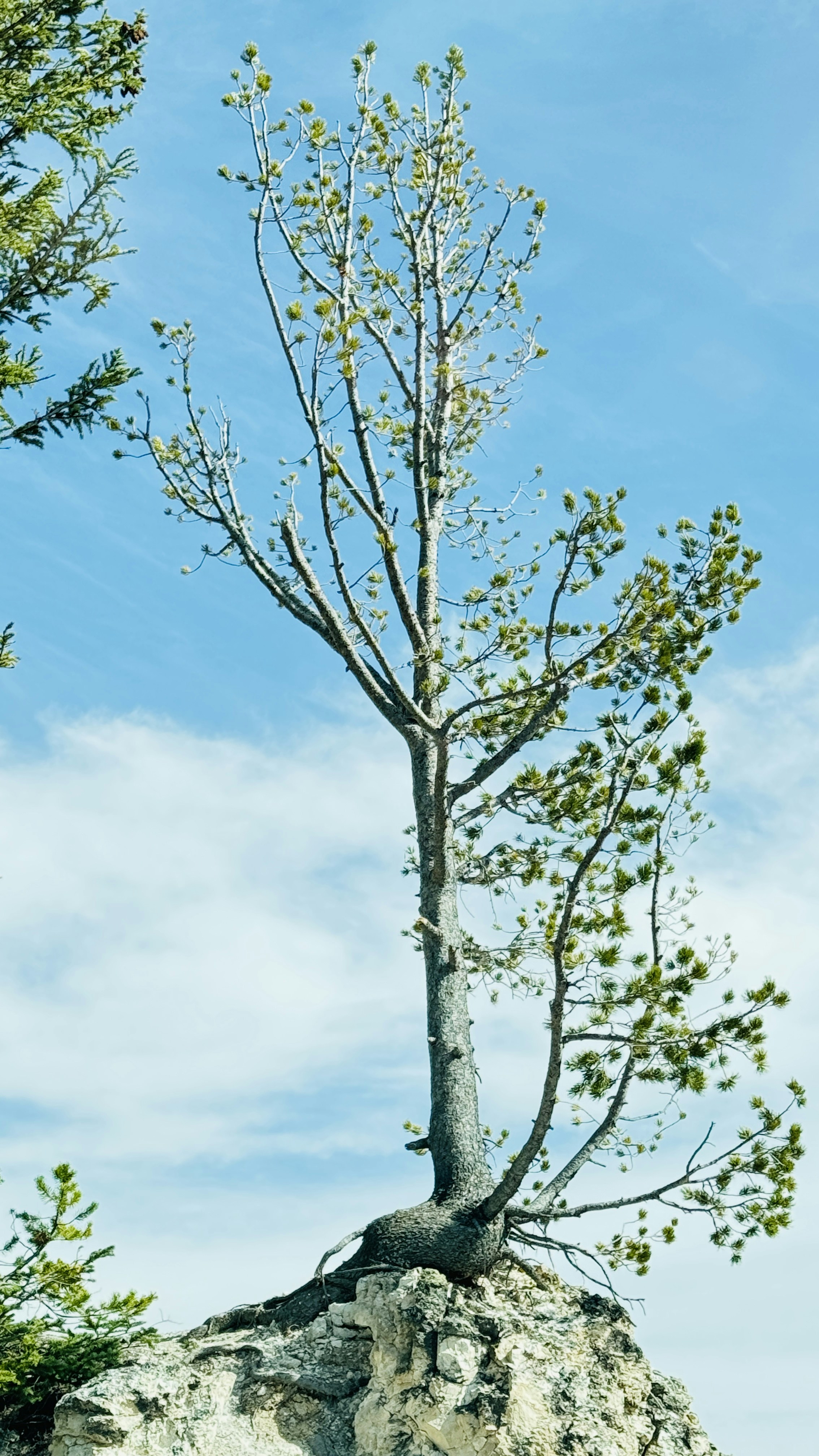 Photo by nimisha_jain