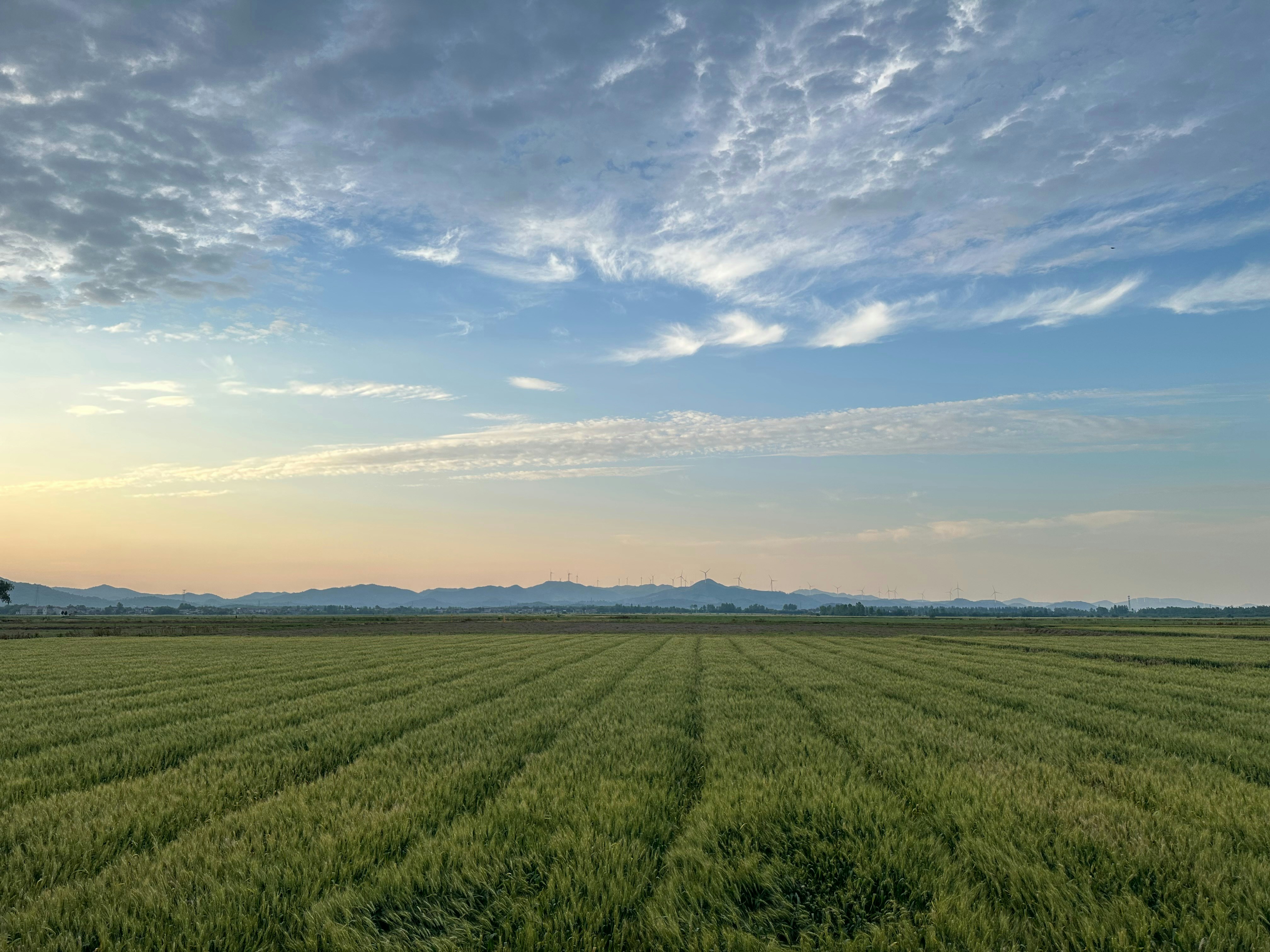 Photo by scriptsetror