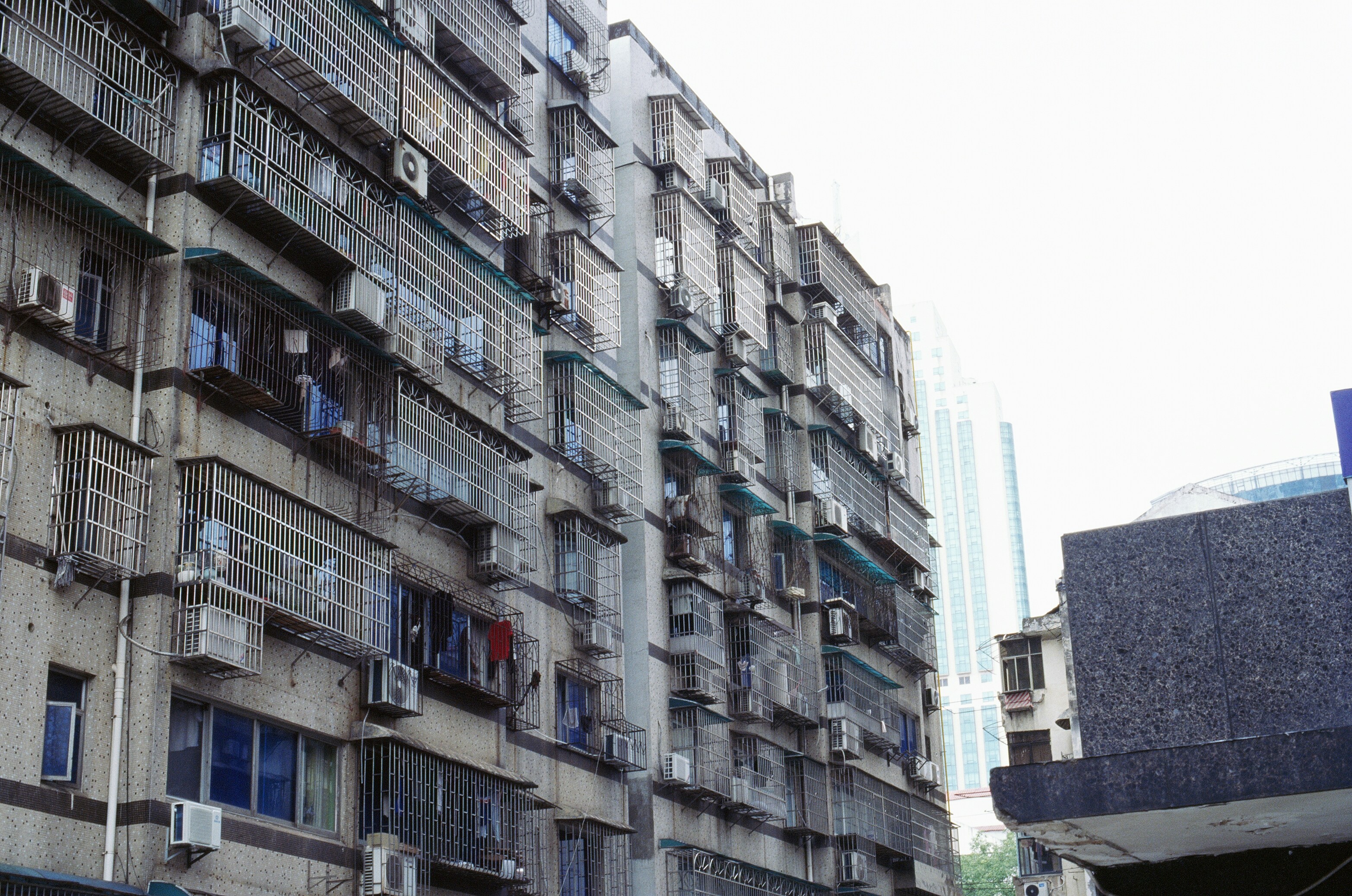 Photo by greedwolf97