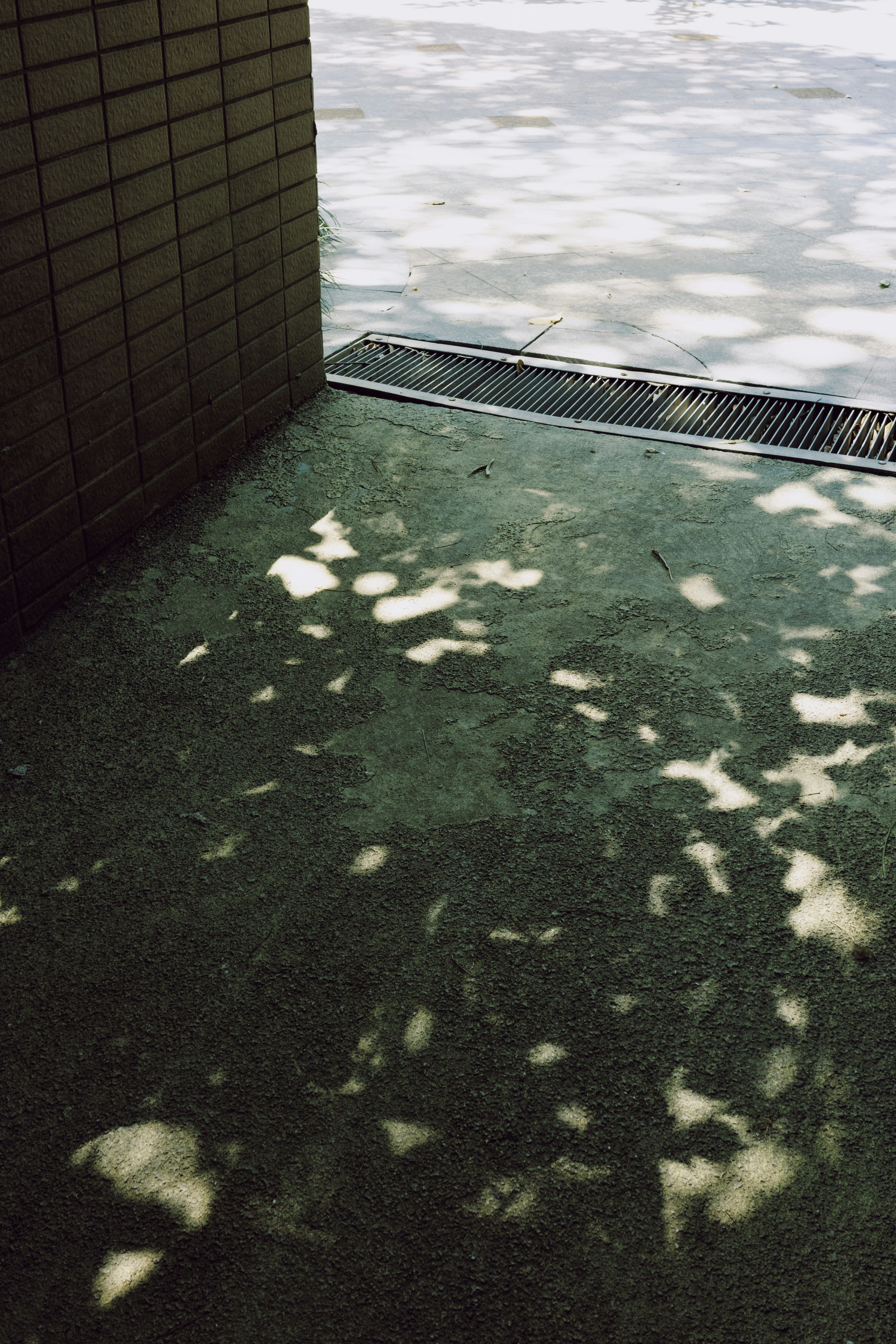 A man riding a skateboard down a sidewalk