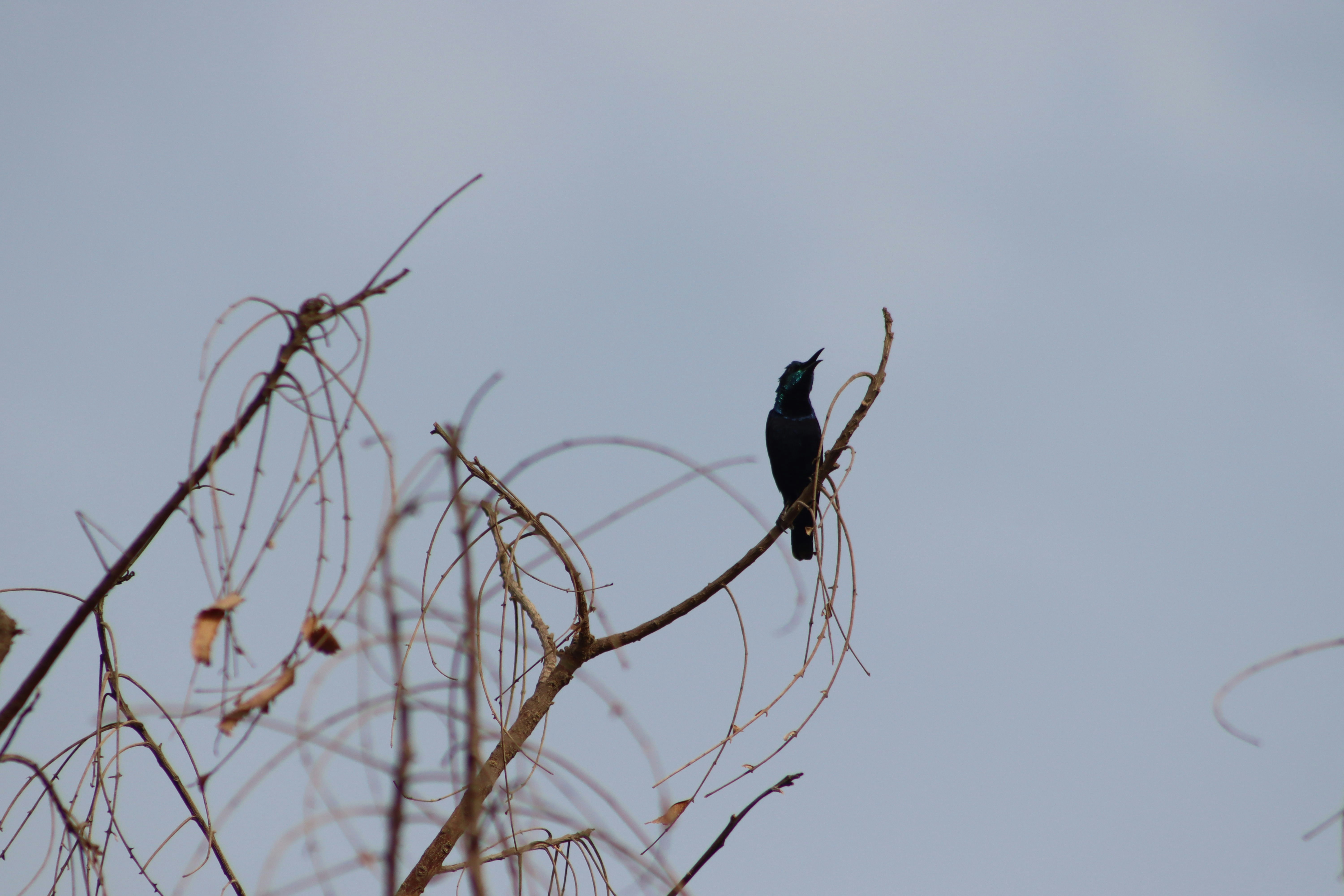 Photo by drphotographer152