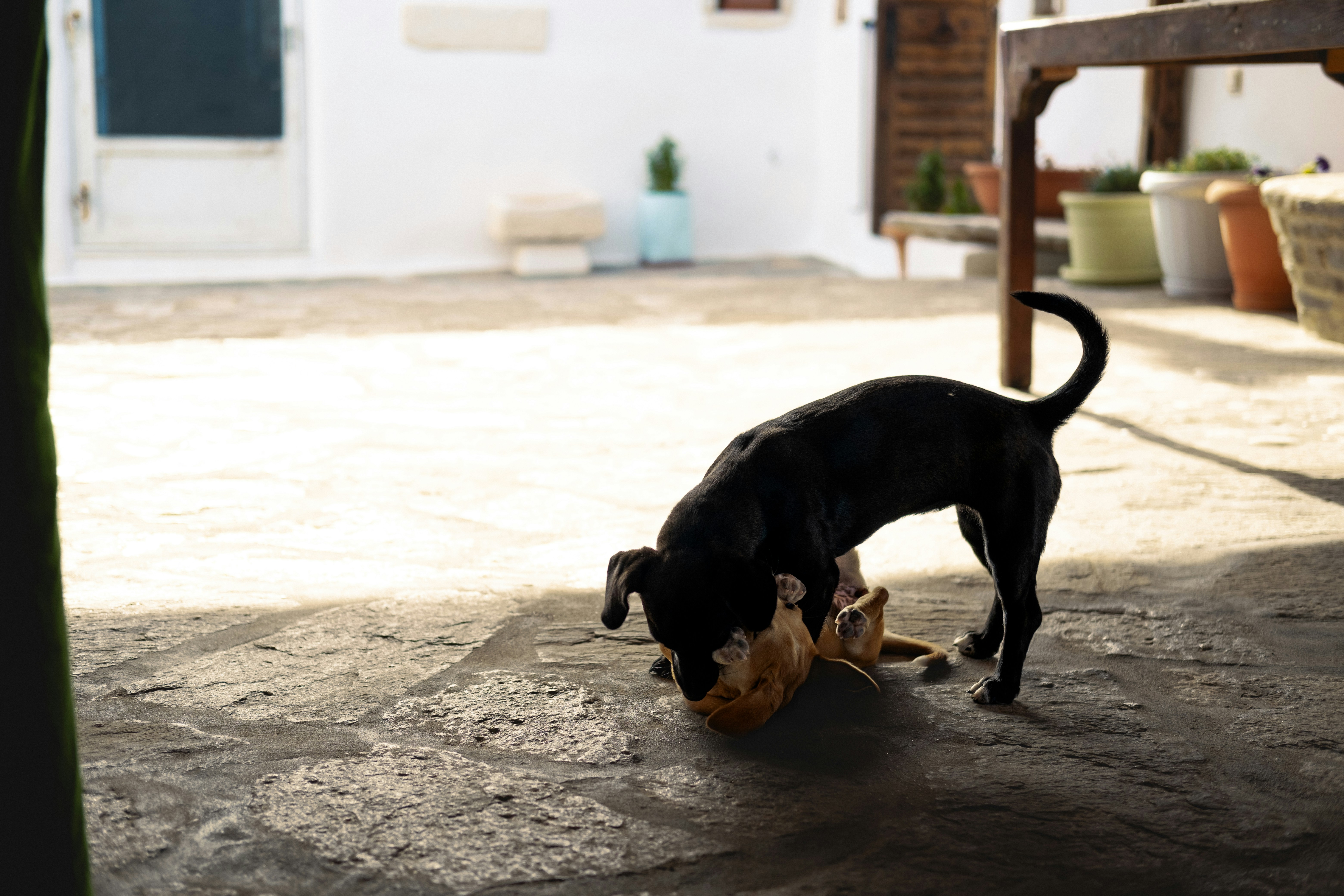Wooden patio furniture