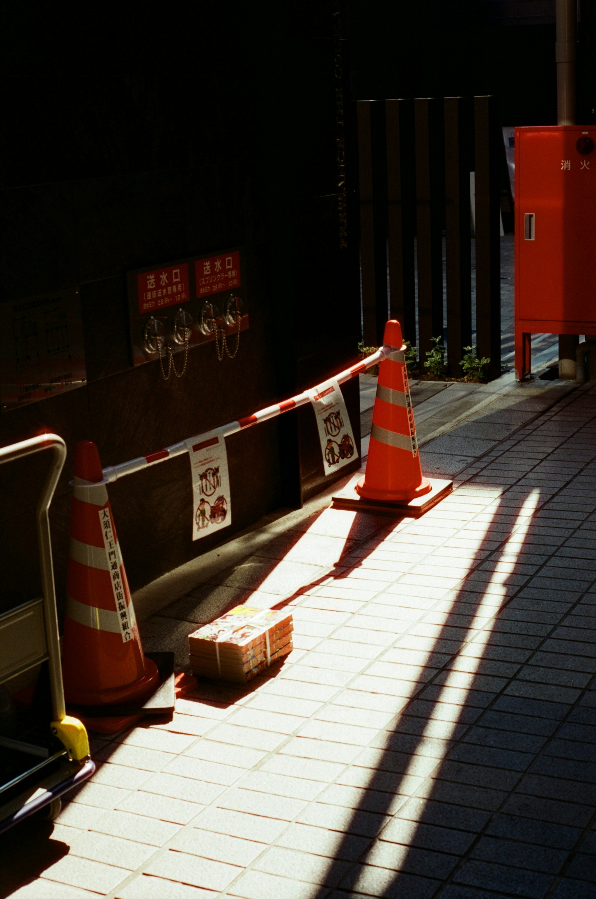 Photo by minhh11hh
